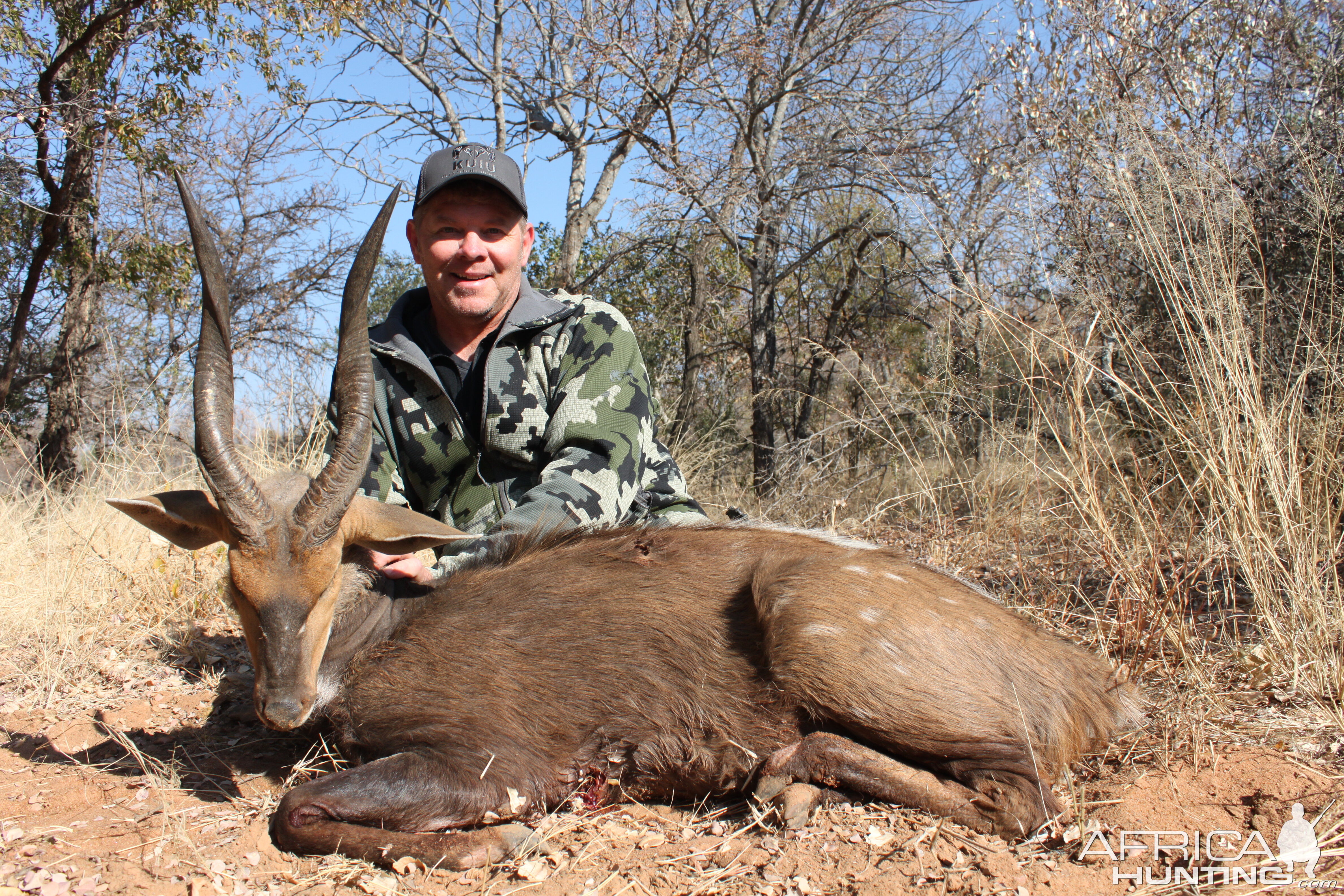 Bushbuck Hunting Waterberg Mountains Limpopo province of South Africa