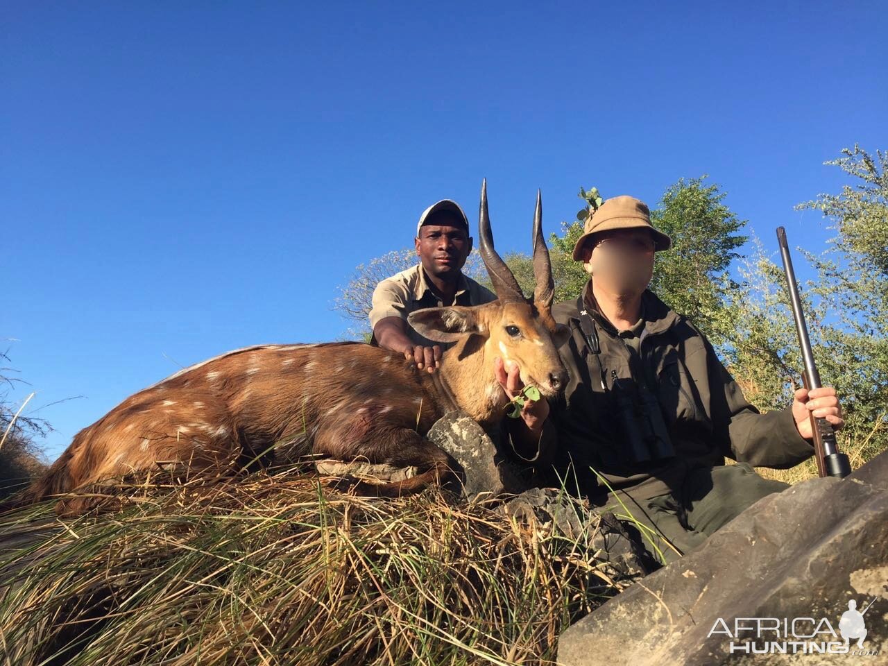 Bushbuck  Hunting