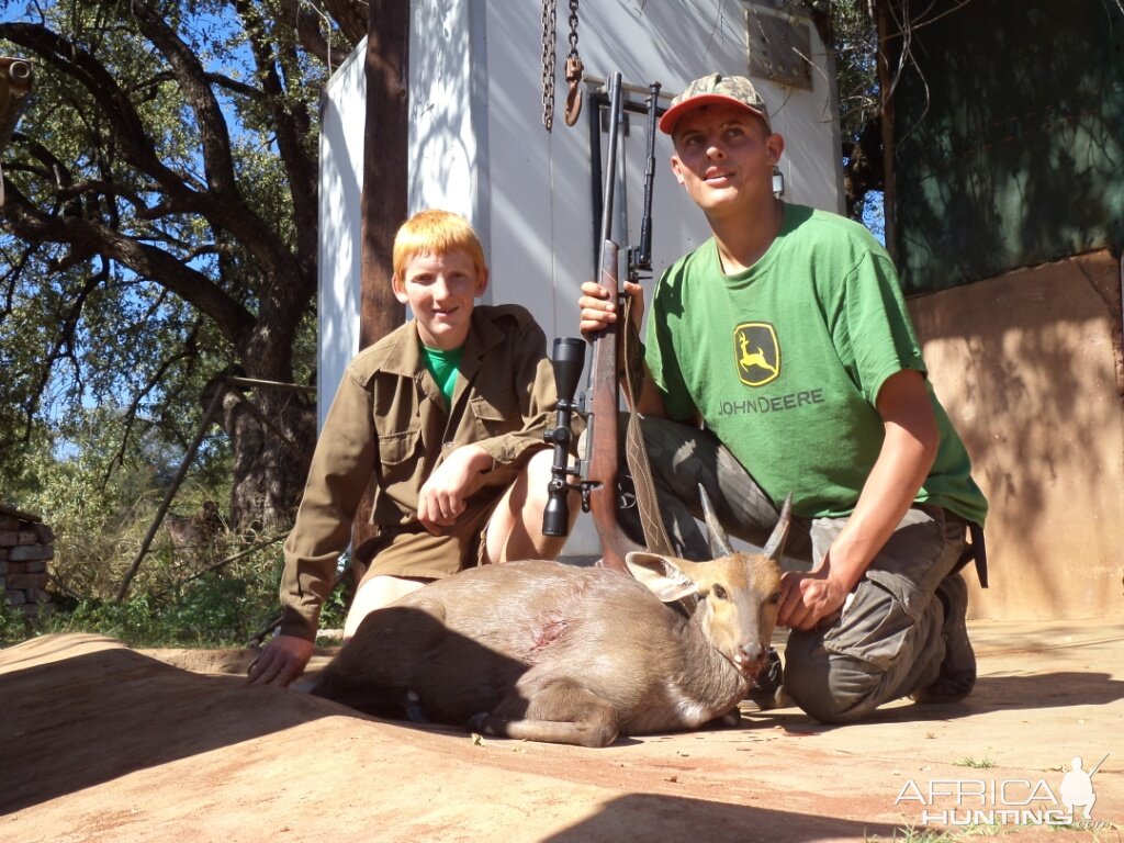 Bushbuck Ram with a client