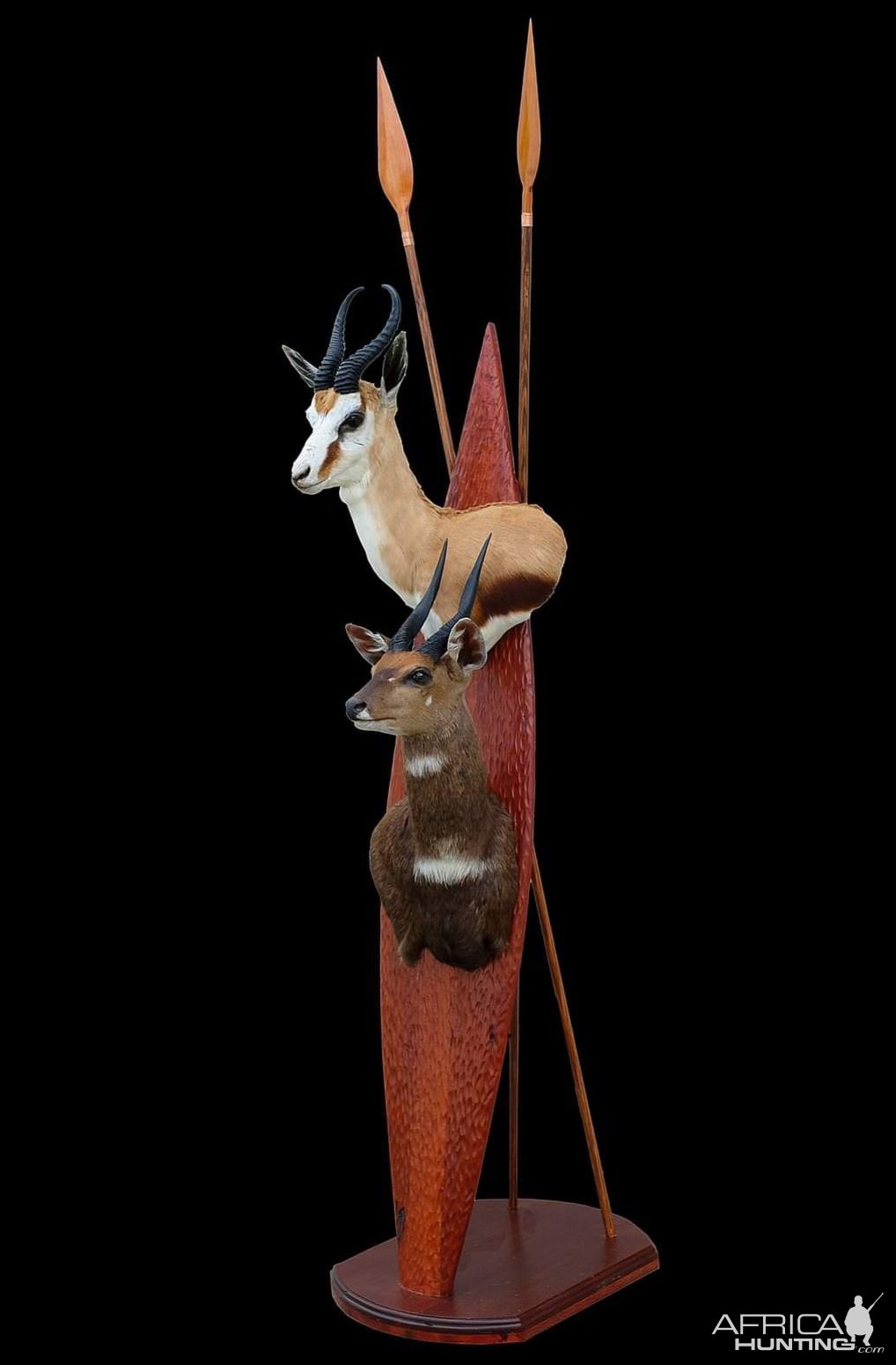 Bushbuck & Springbok Shield Mount Taxidermy