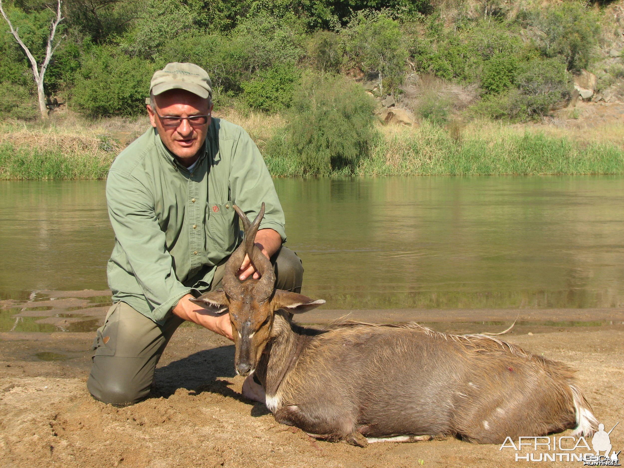 Bushbuck Zululand