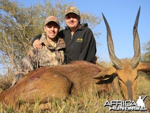 Bushbuck