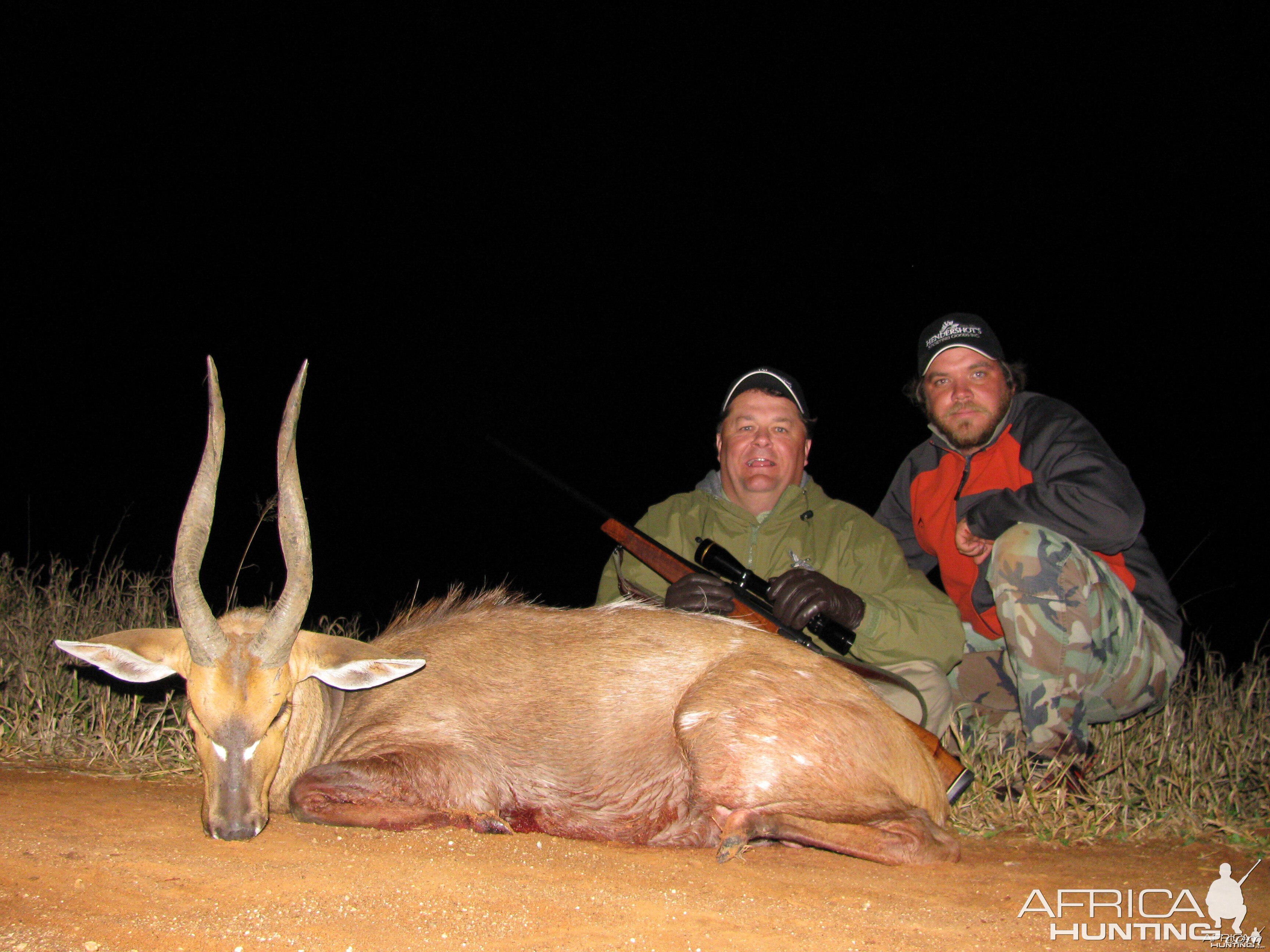 Bushbuck