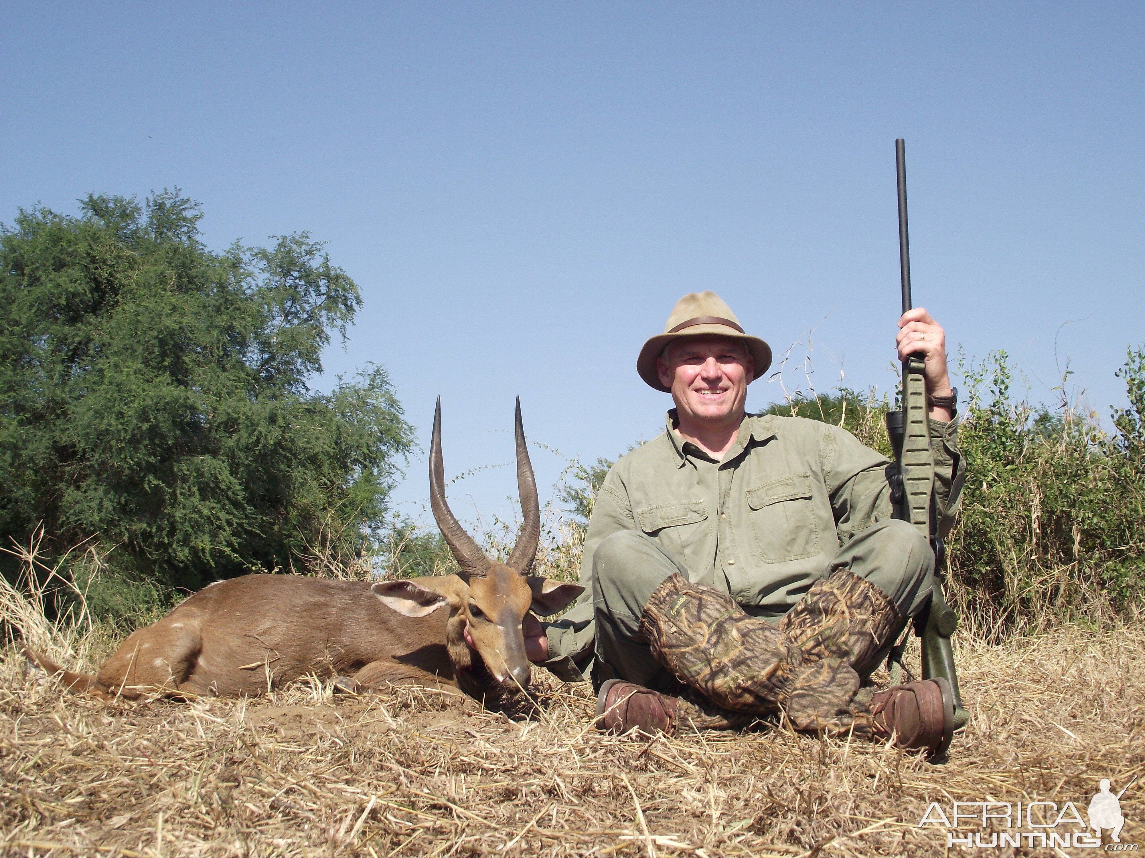 Bushbuck