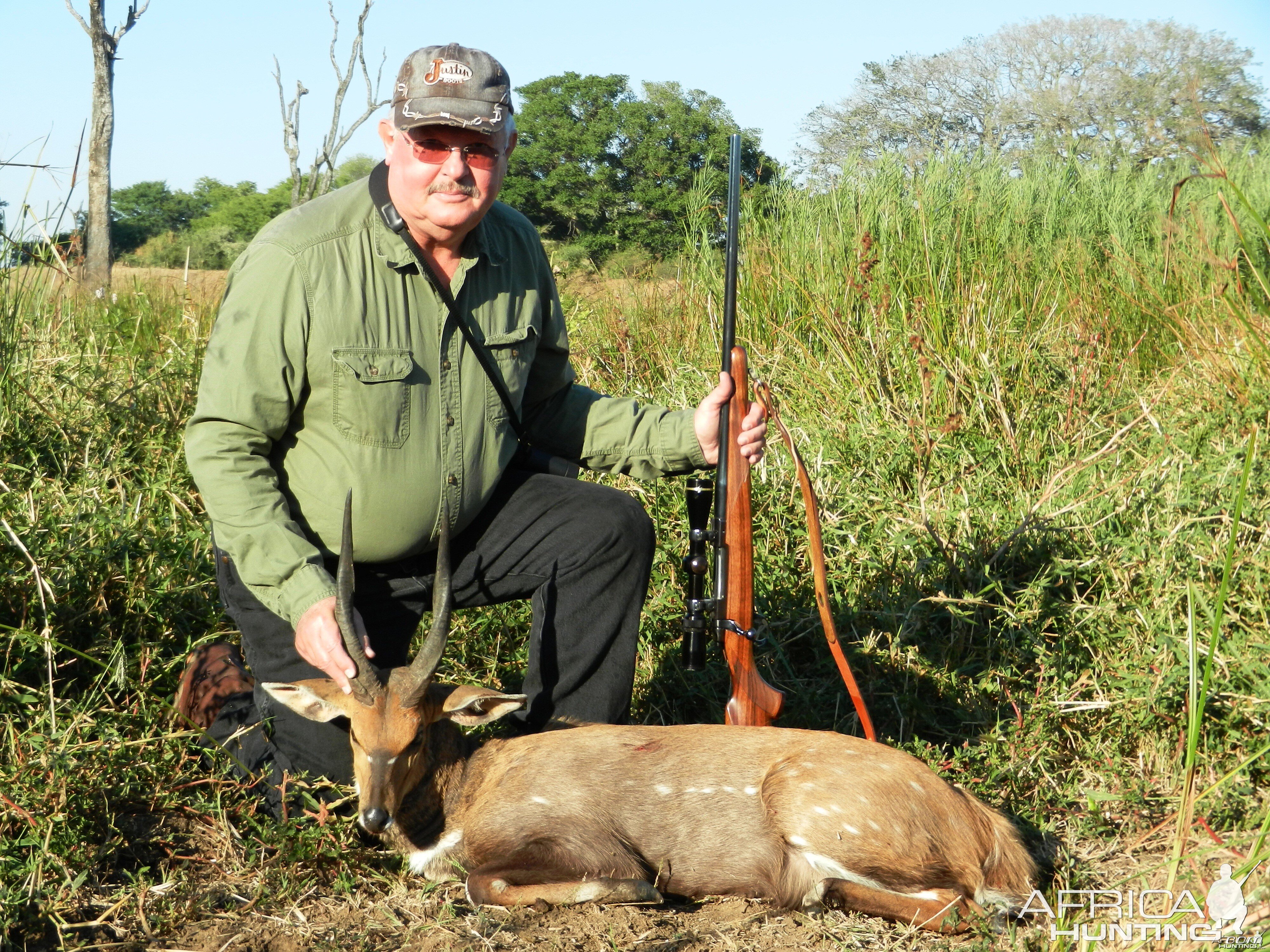 Bushbuck