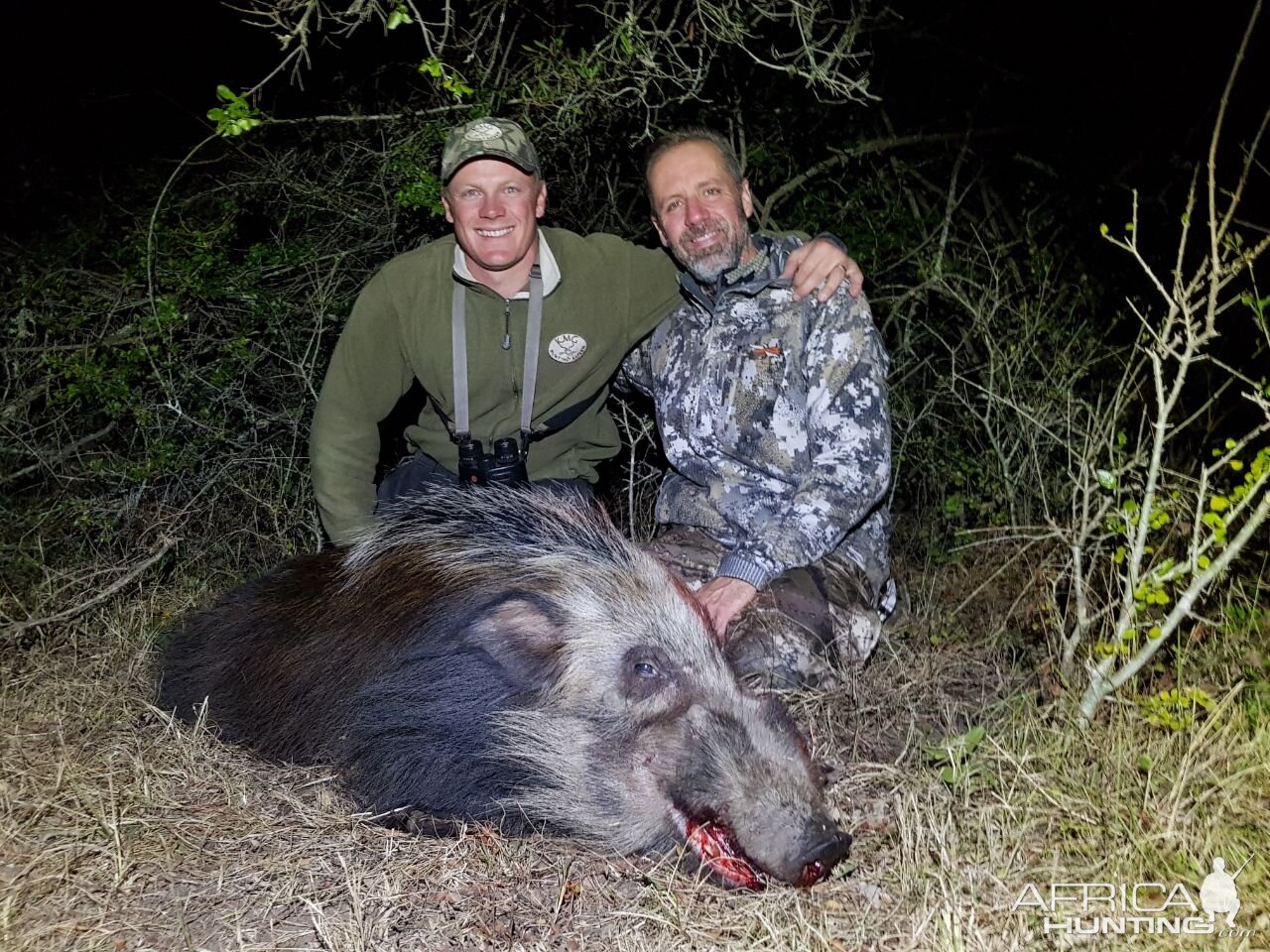 Bushpig Hunting South Africa