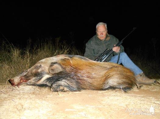 Bushpig Hunting Sunset Safaris