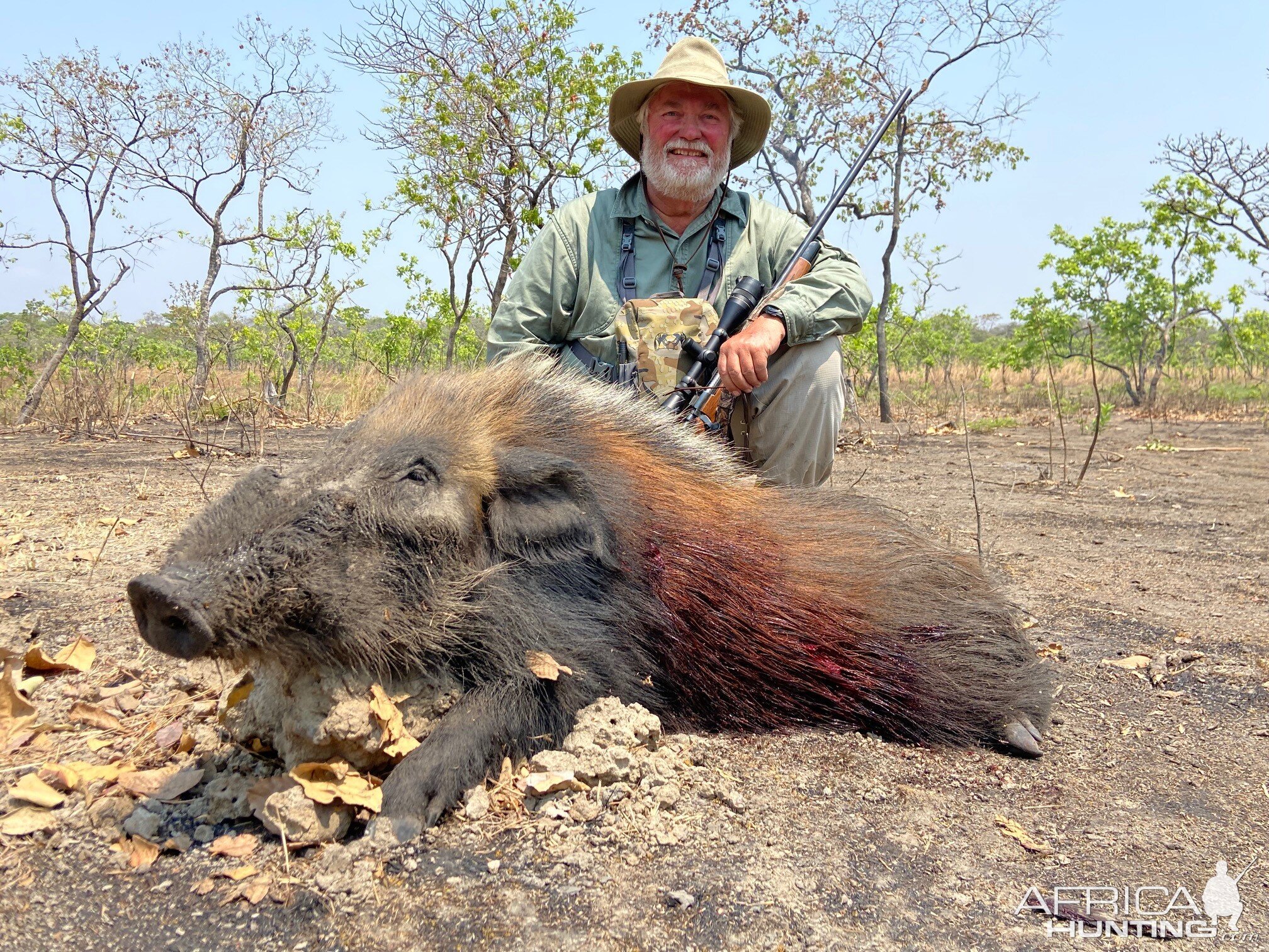 Bushpig Hunting Tanzania