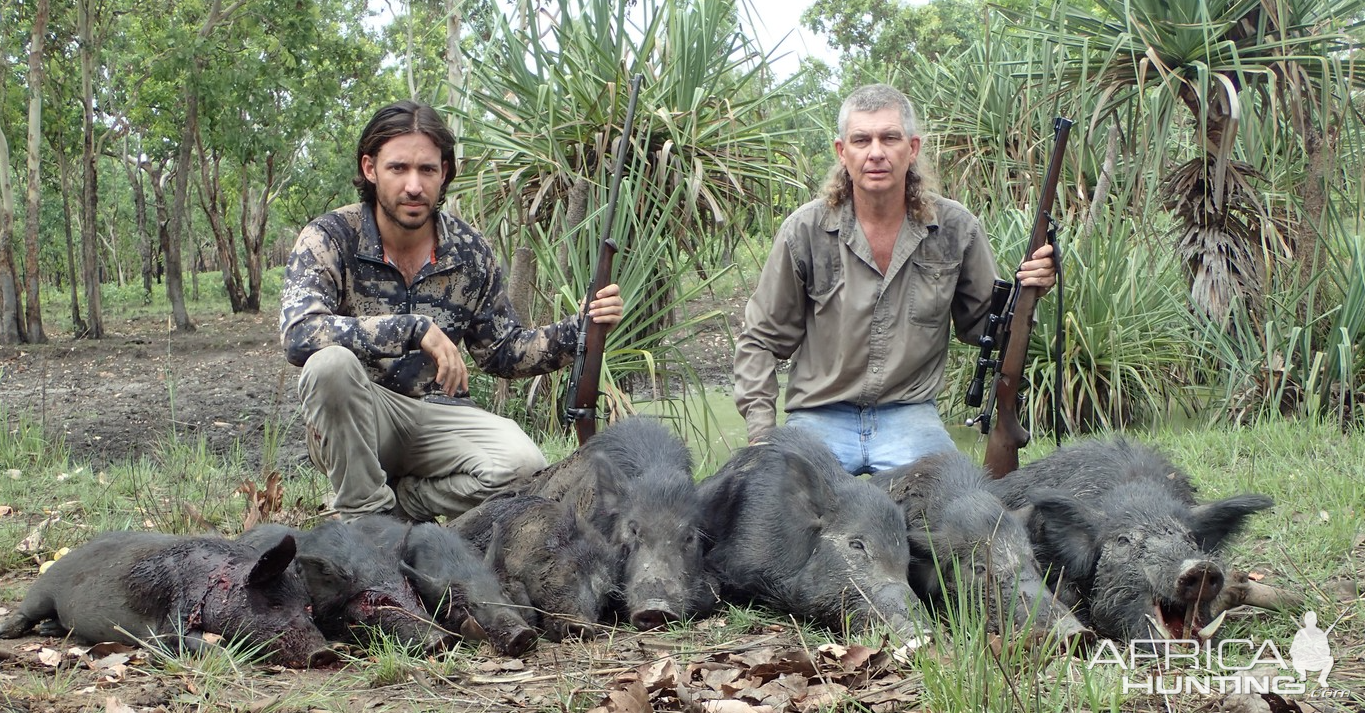 Bushpig Hunting