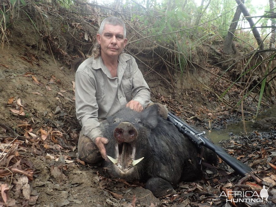 Bushpig Hunting