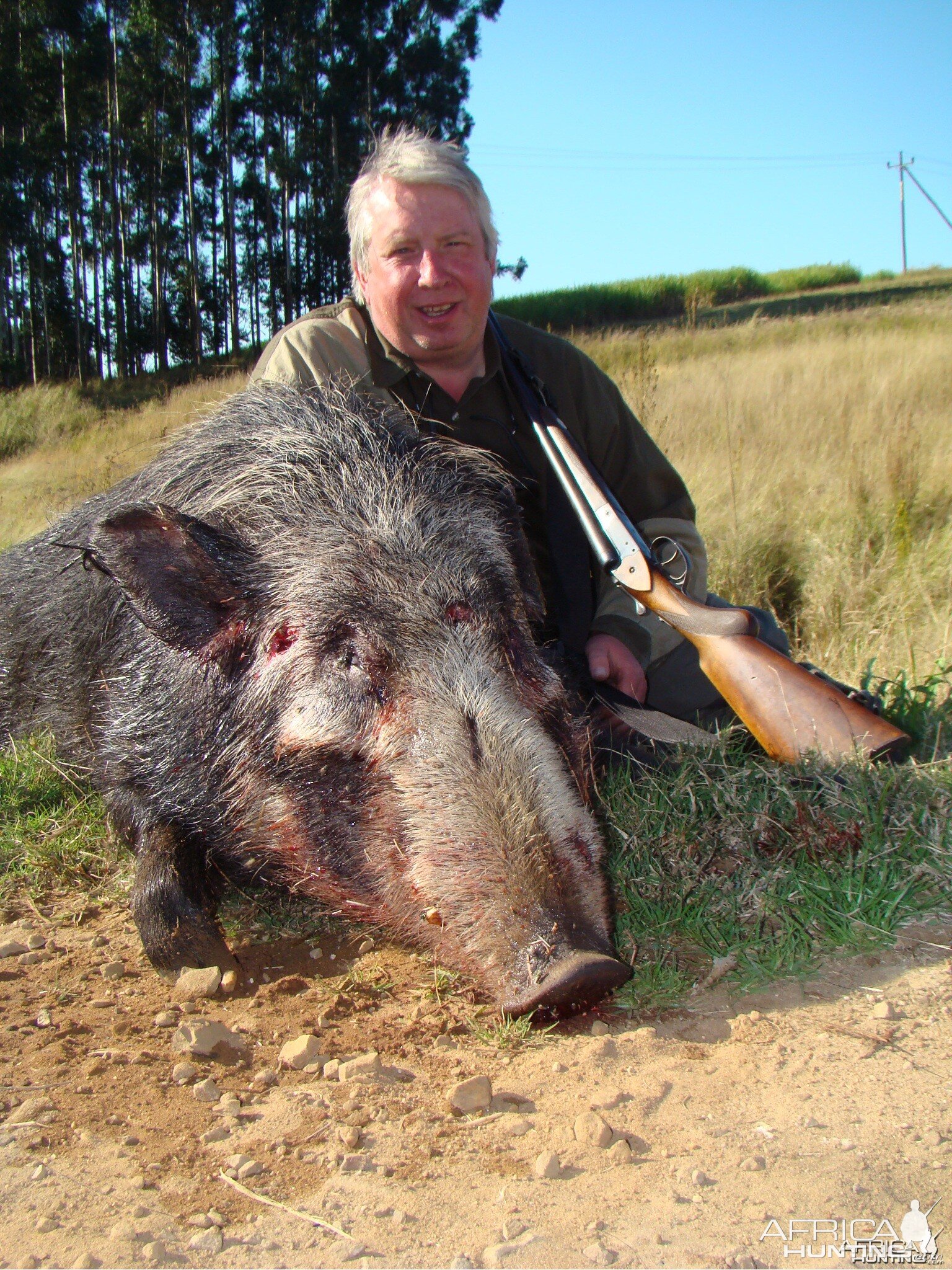 Bushpig Kwazulu Natal