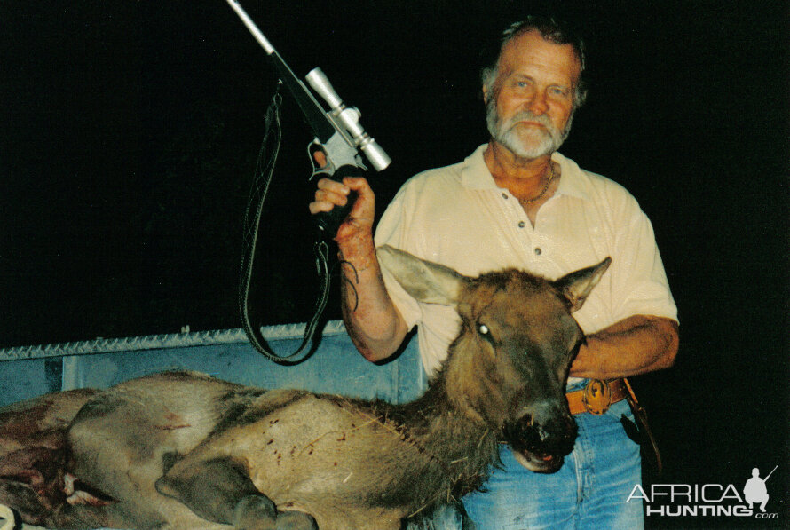 calif tule cow elk,taken in cal.