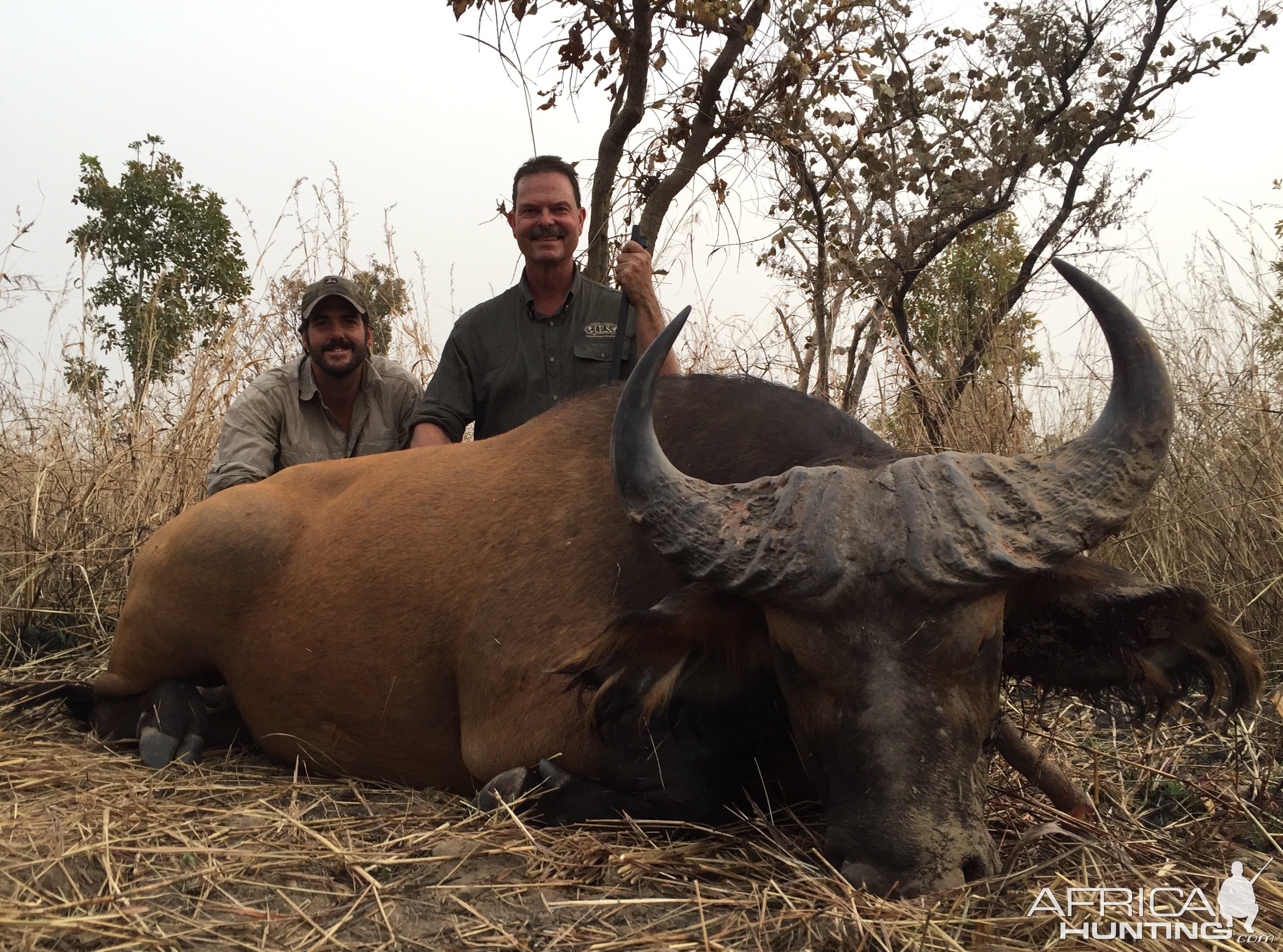 Cameroon Hunt West African Savanna Buffalo