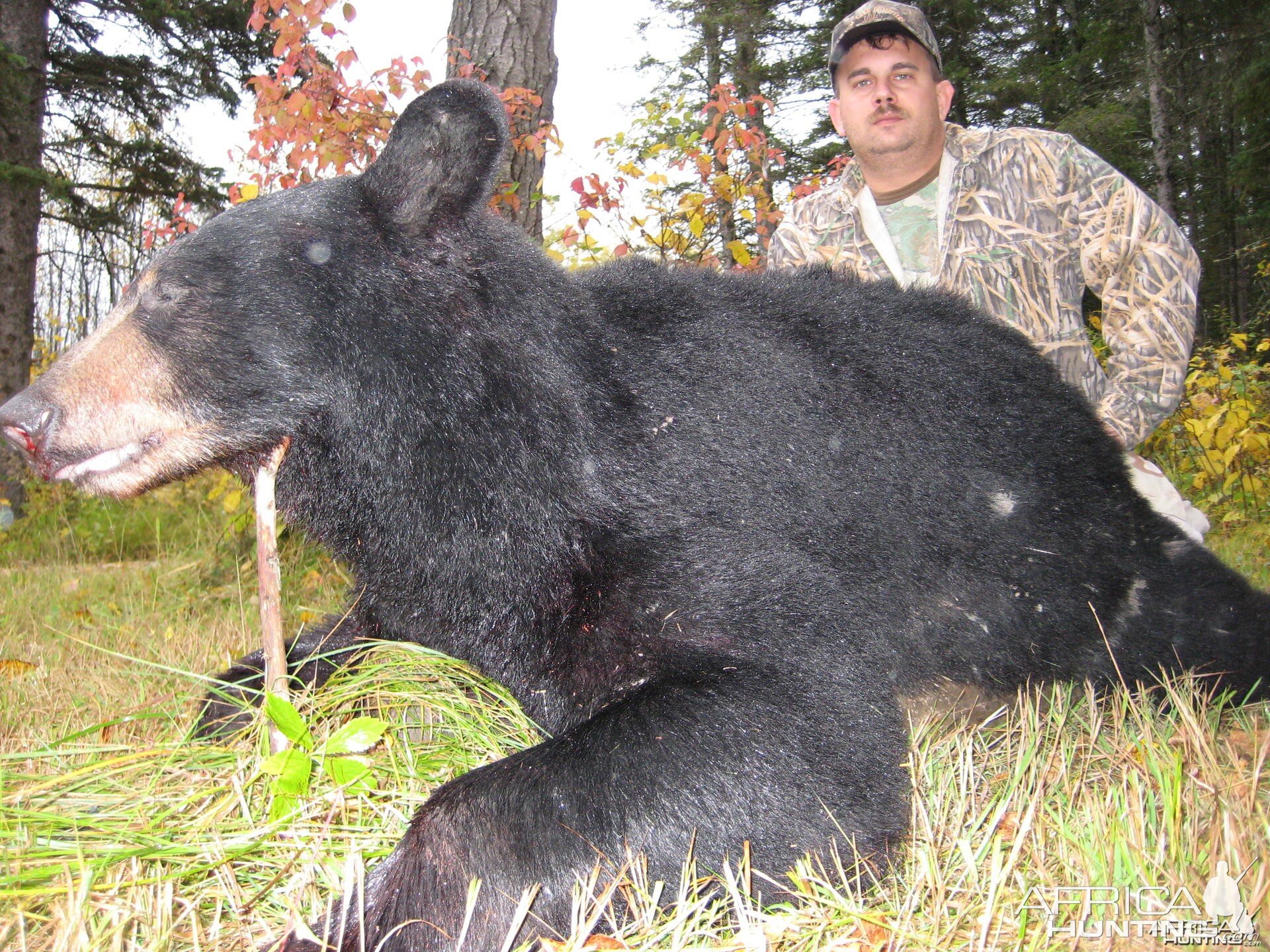 Canada Bear Hunt