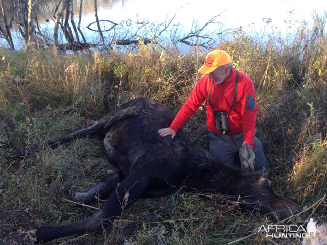 Canada Hunt Moose