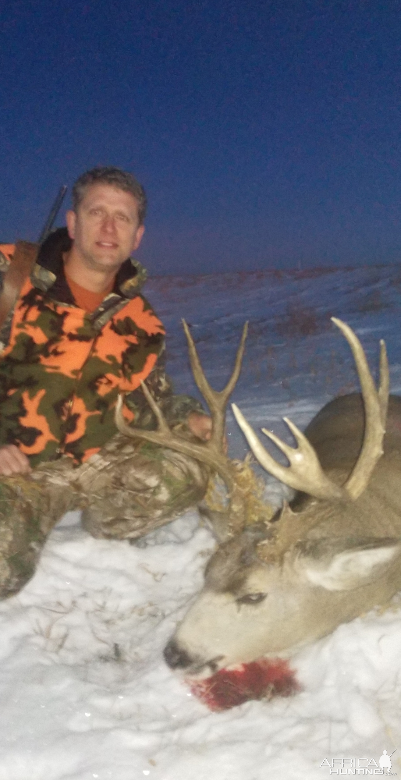 Canada Hunt Mule Deer