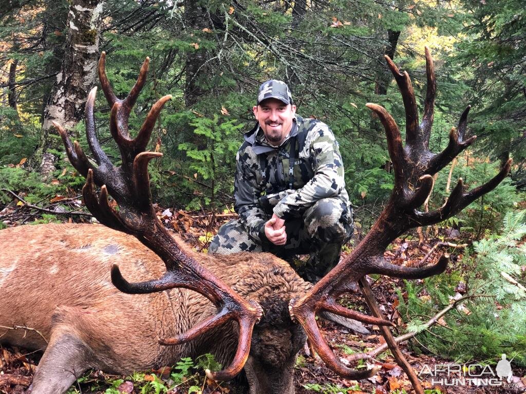 Canada Hunting Red Stag