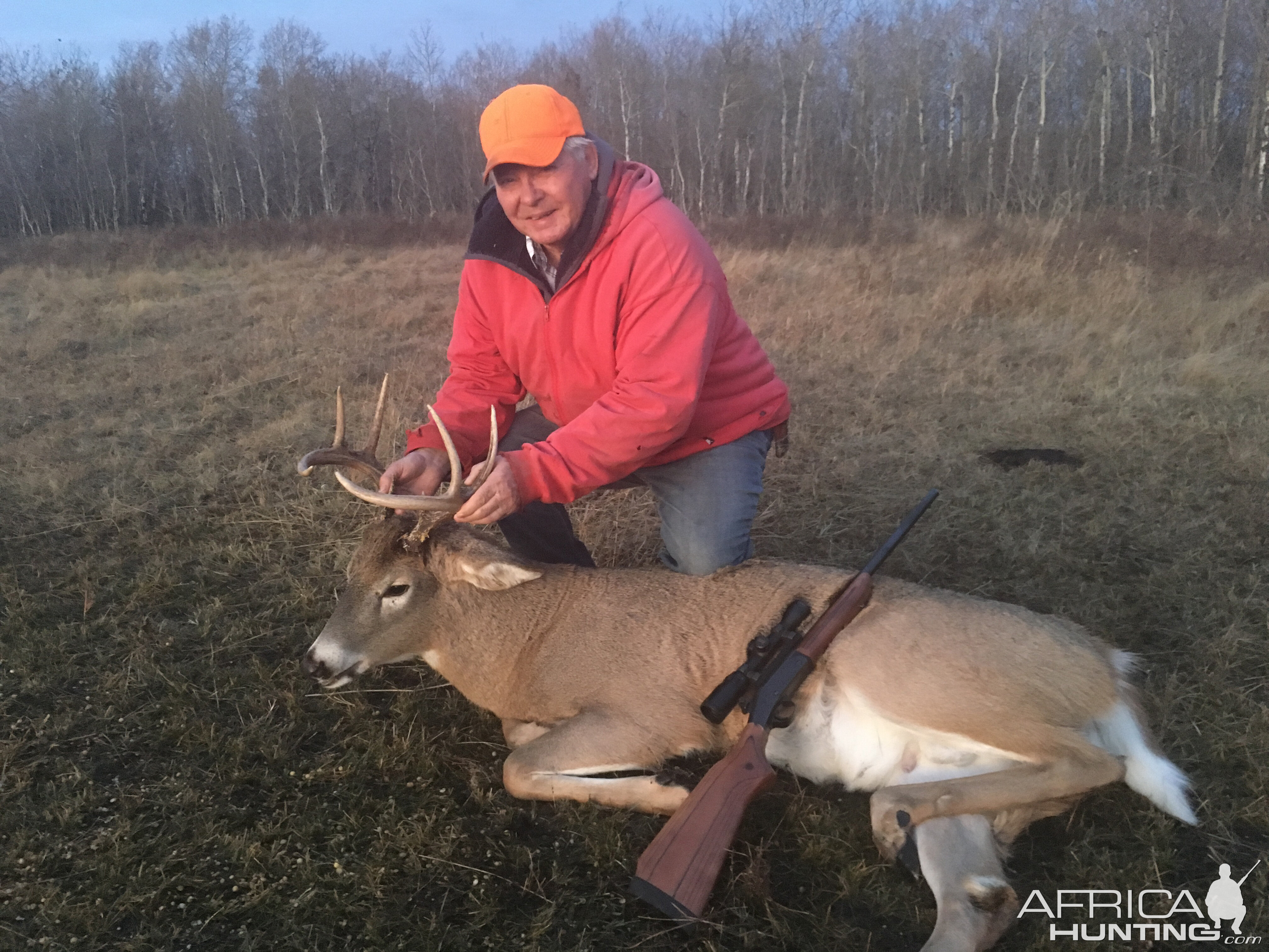 Canada Hunting White-tailed Deer