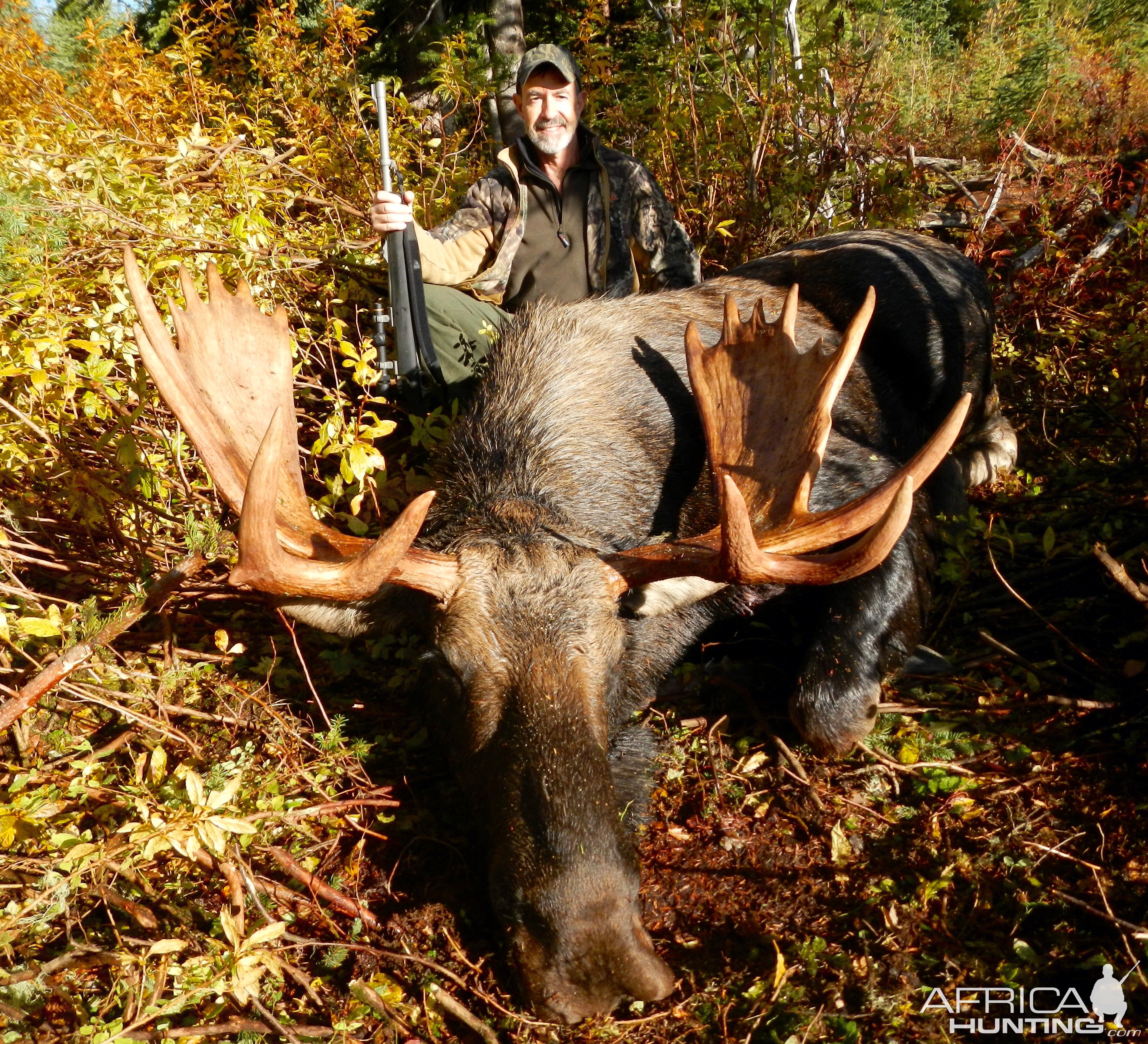 Canada Moose Hunt Opatcho Lake, Prince George British Columbia