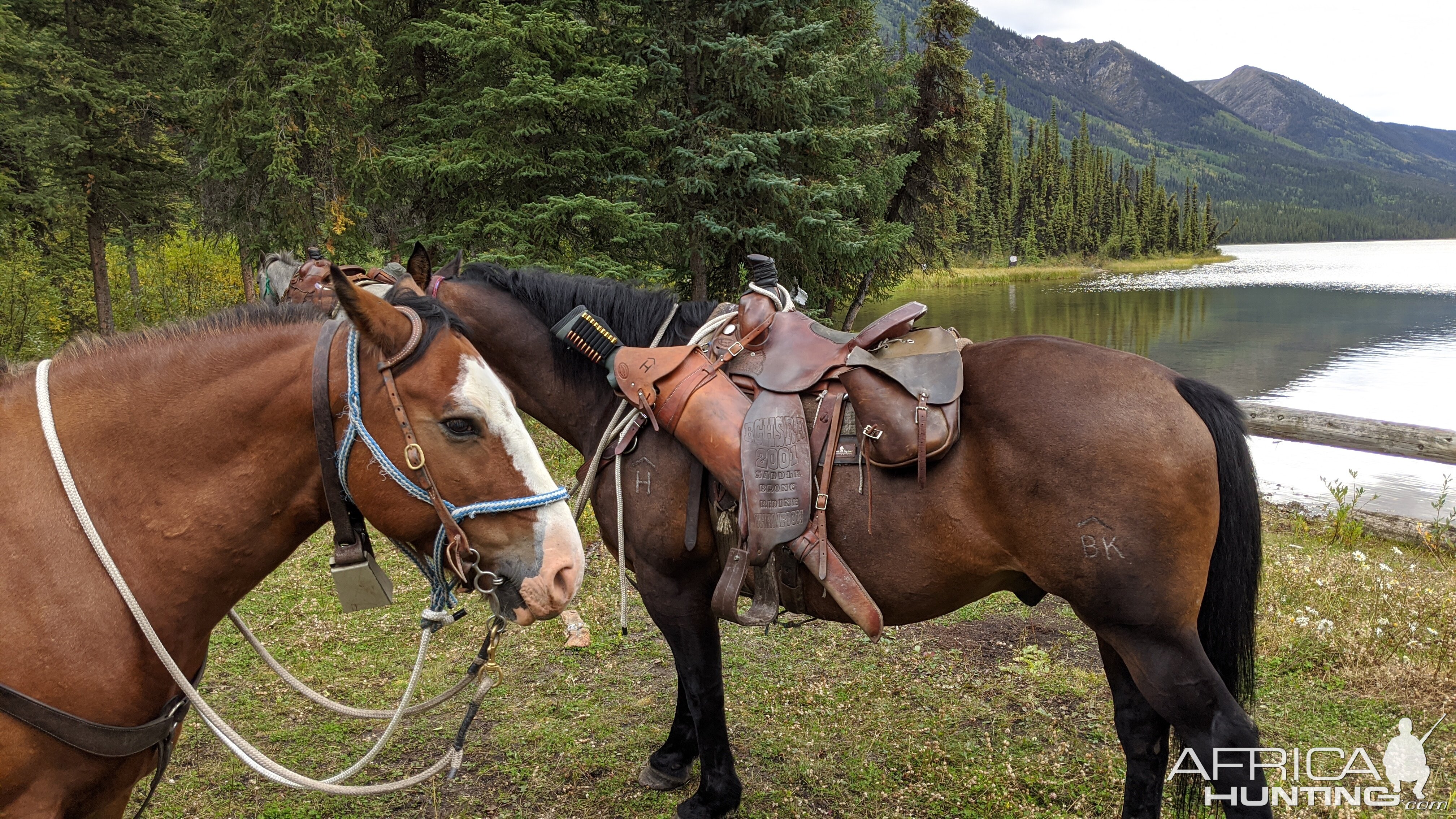 Canada Northern British Columbia Goat & Moose Hunt