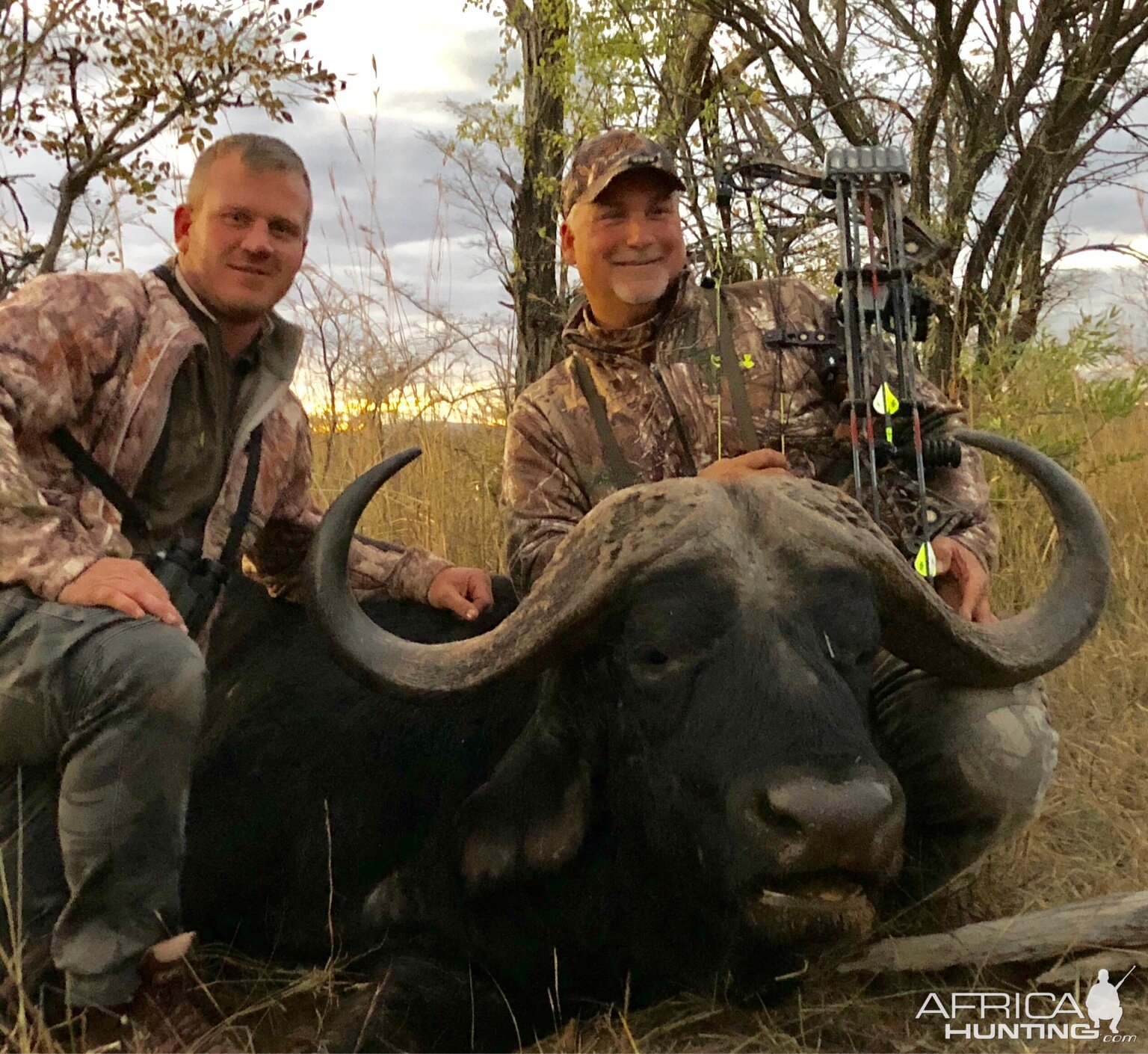 Cape Buffalo Bow Hunting South Africa