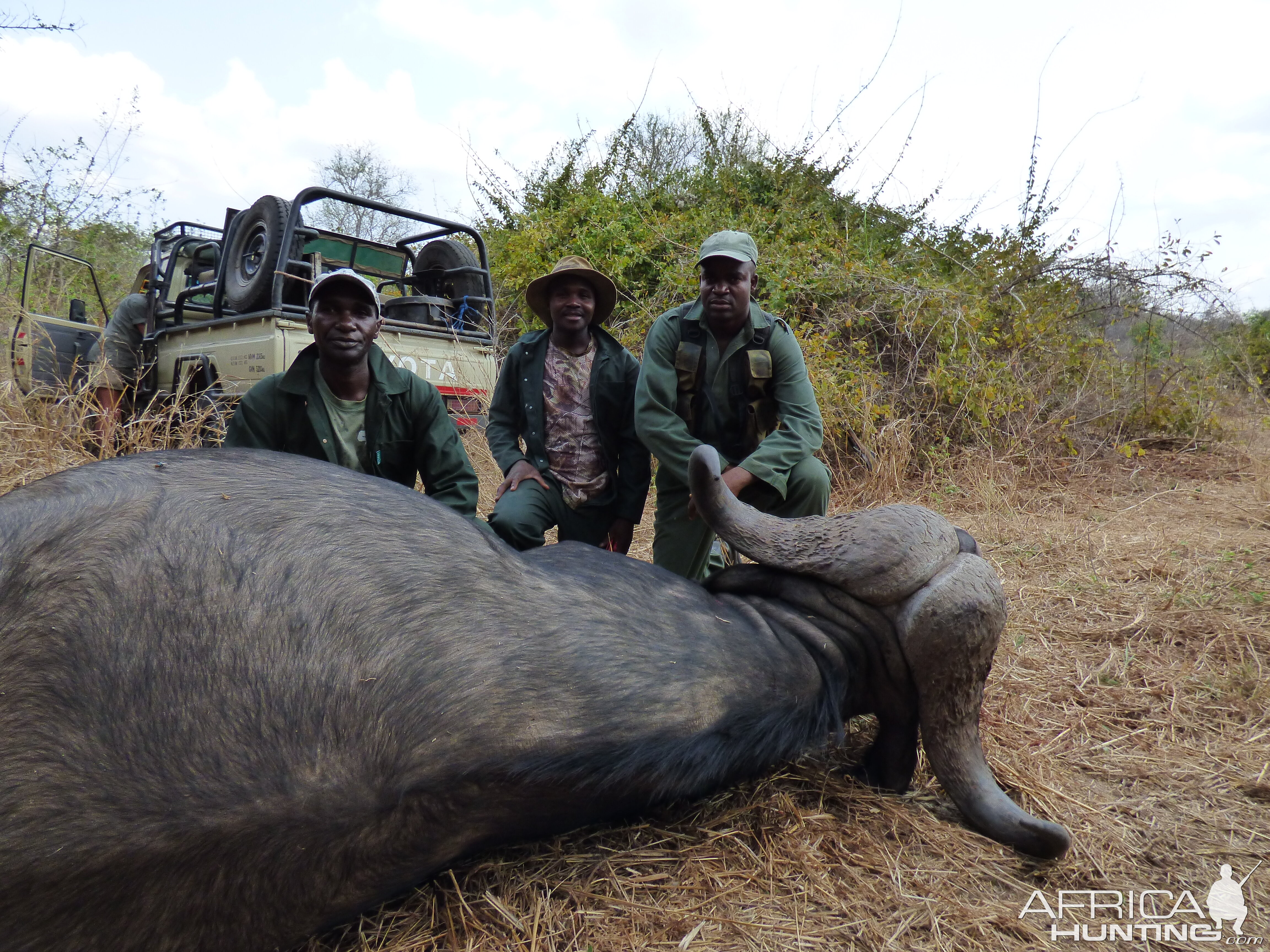 Cape Buffalo Hunt in Zimbabwe