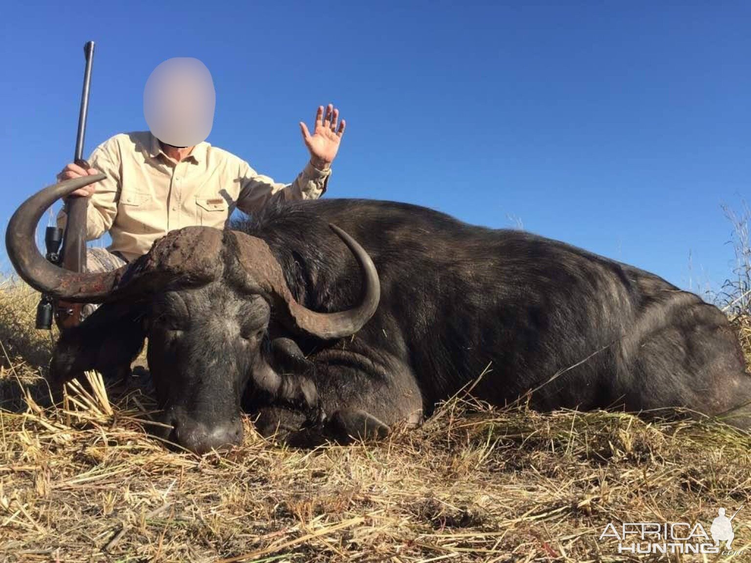 Cape Buffalo Hunt Matetsi Zimbabwe