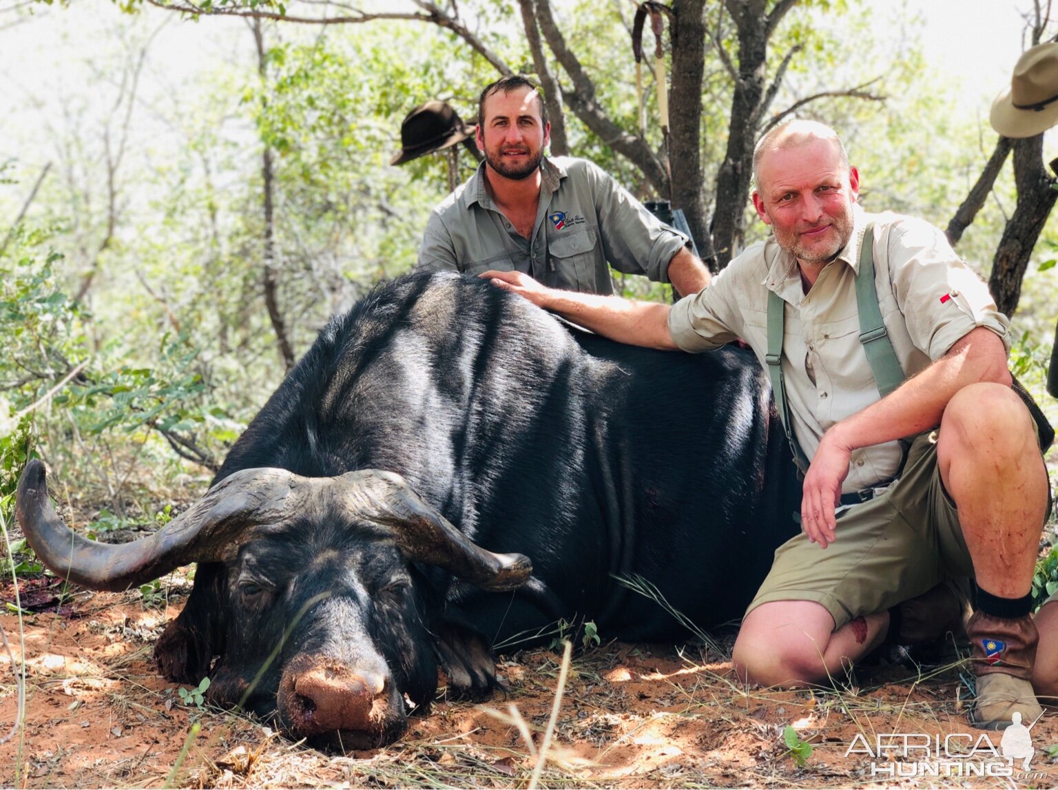 Cape Buffalo Hunt Namibia