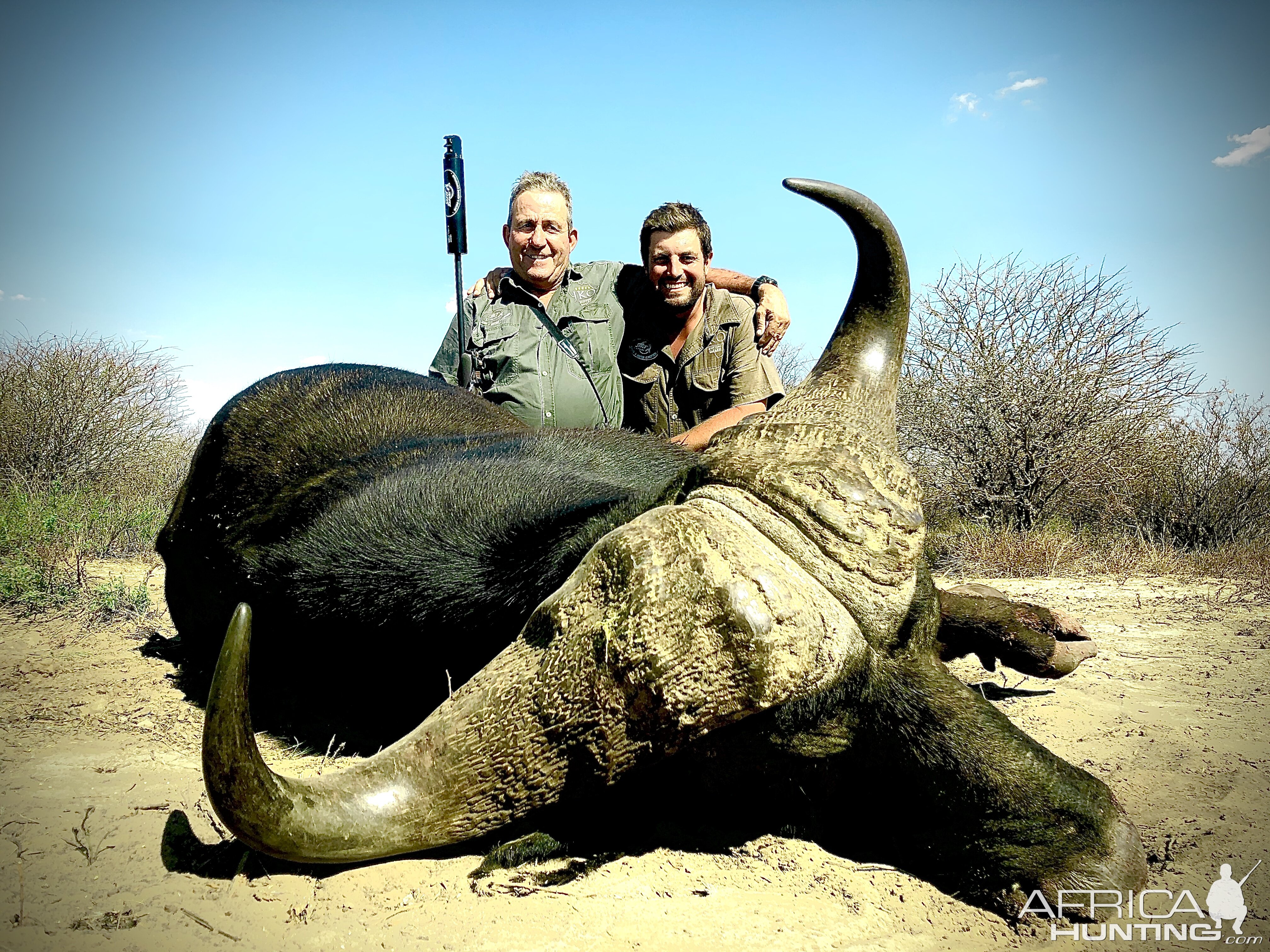 Cape Buffalo hunt South Africa