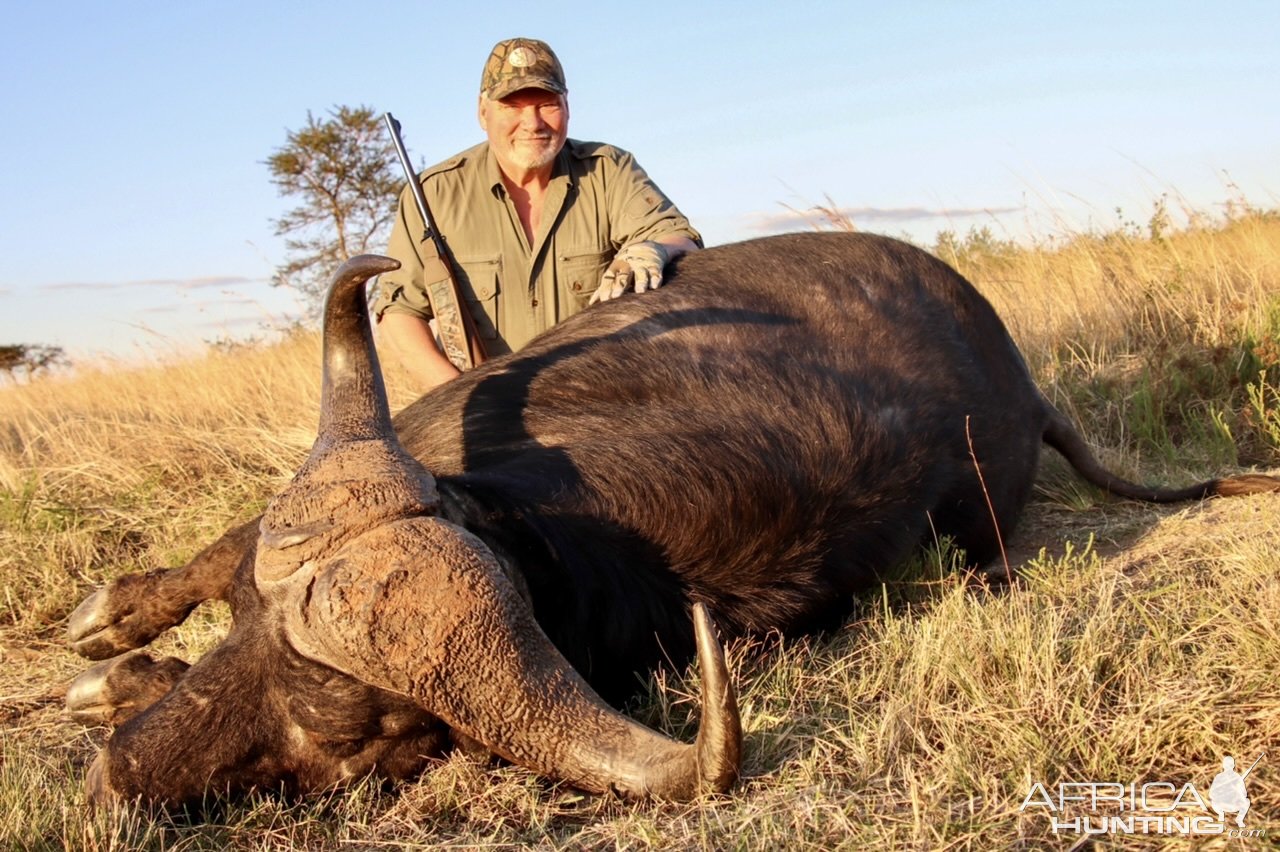 Cape Buffalo Hunt South Africa