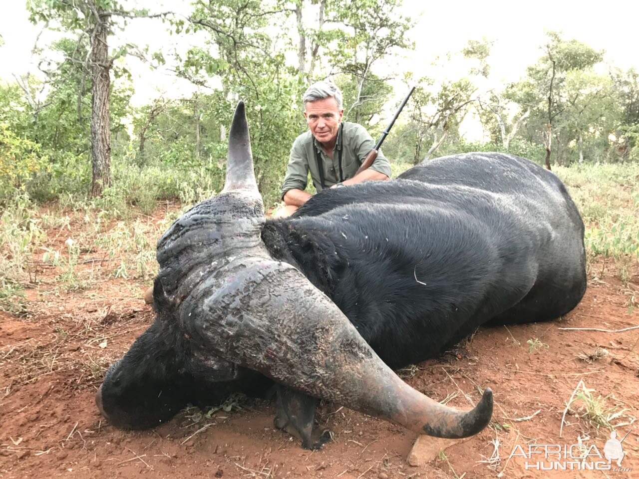 Cape Buffalo Hunt South Africa