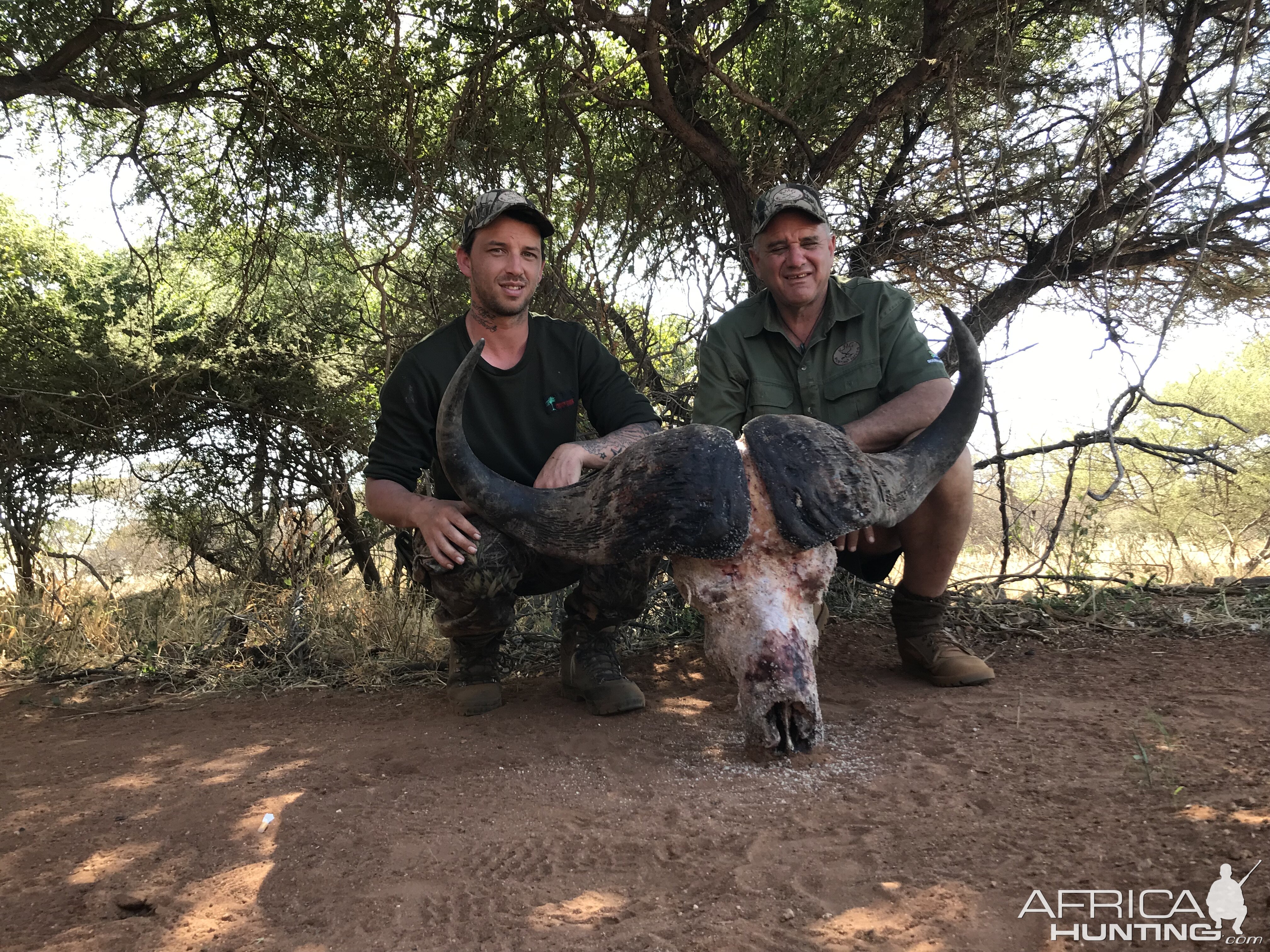 Cape Buffalo Hunt South Africa