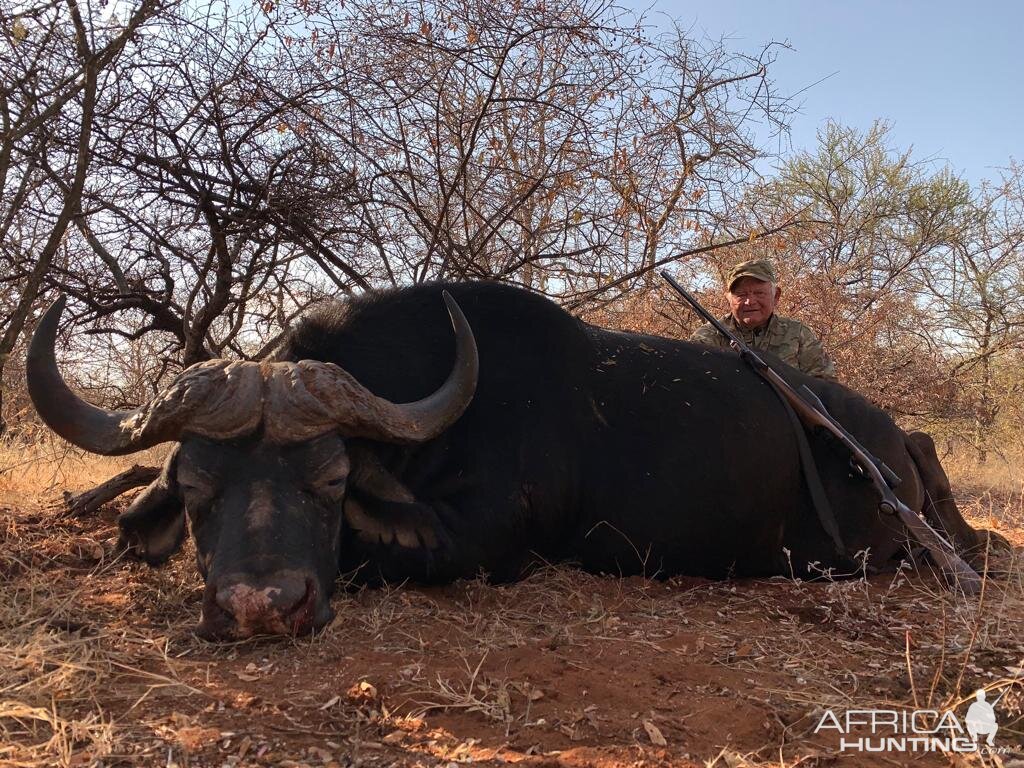 Cape Buffalo Hunt South Africa