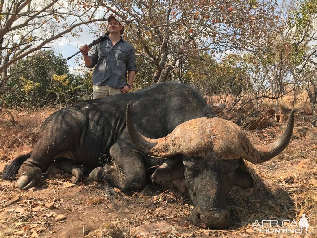 Cape Buffalo Hunt South Africa