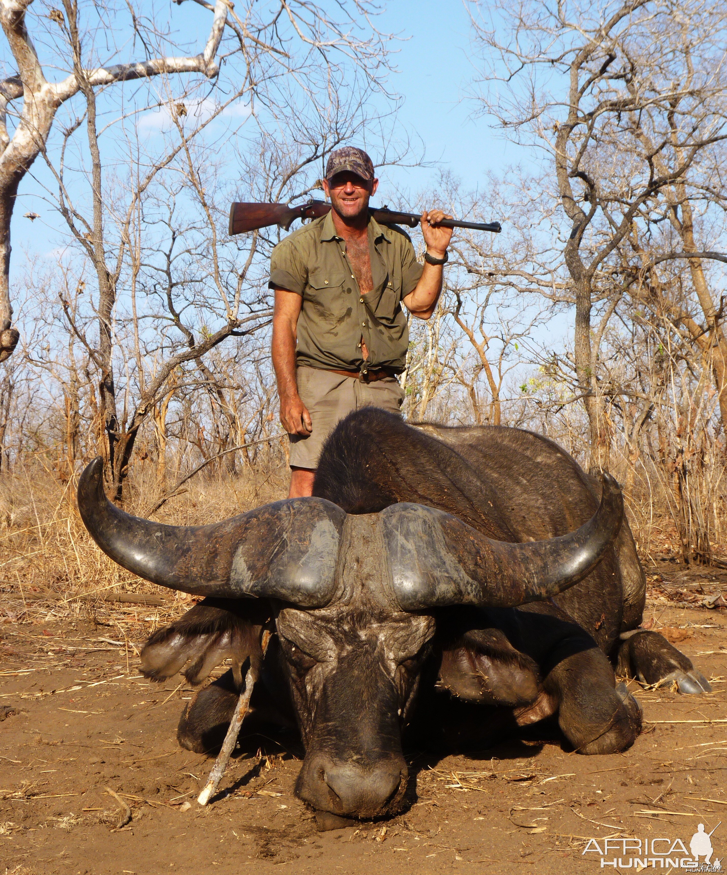 Cape buffalo hunt Tanzania