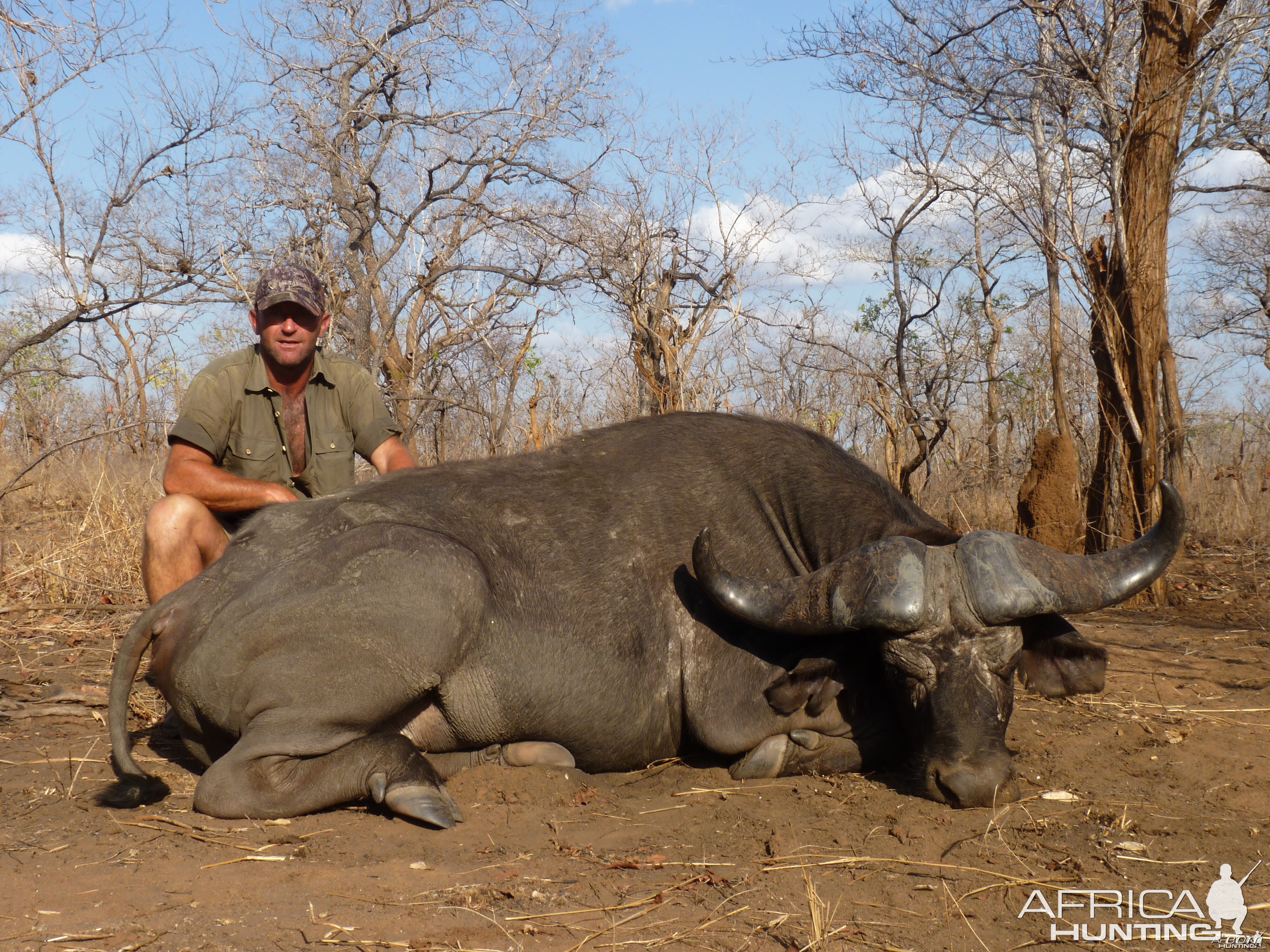 Cape Buffalo hunt Tanzania