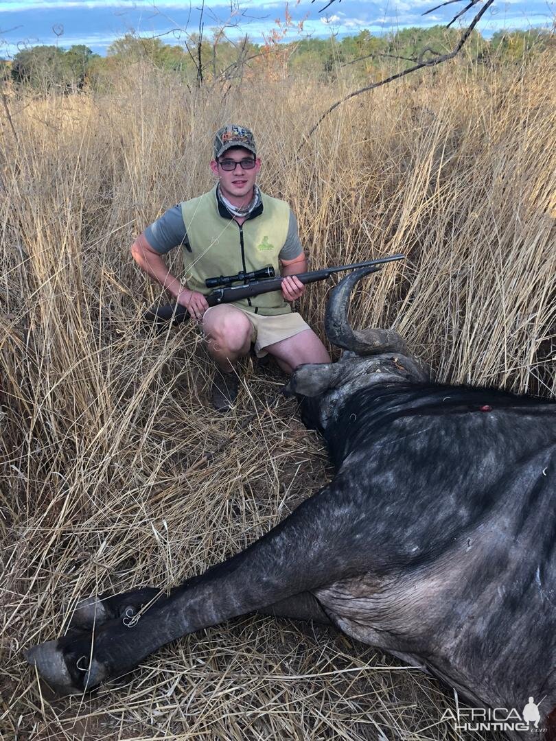 Cape Buffalo Hunt Zimbabwe