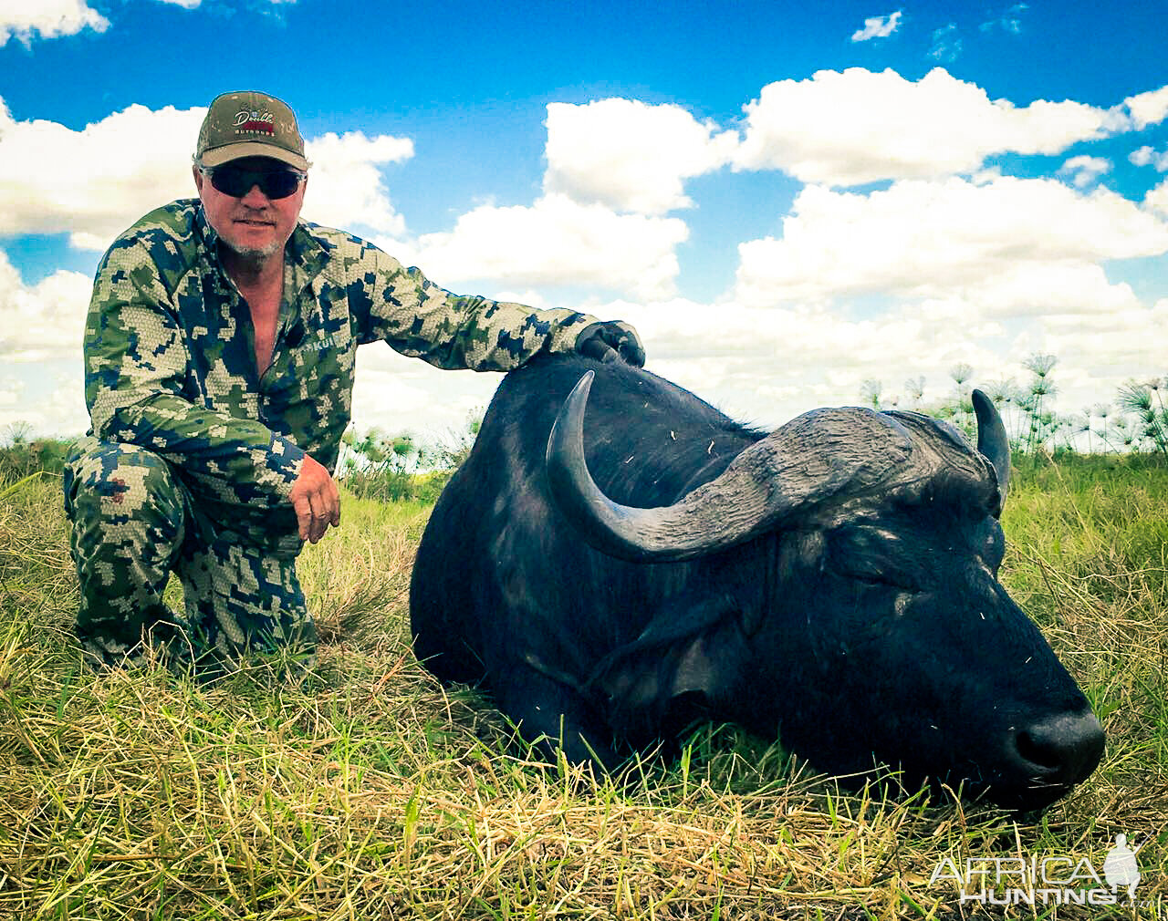 Cape Buffalo Hunt | AfricaHunting.com
