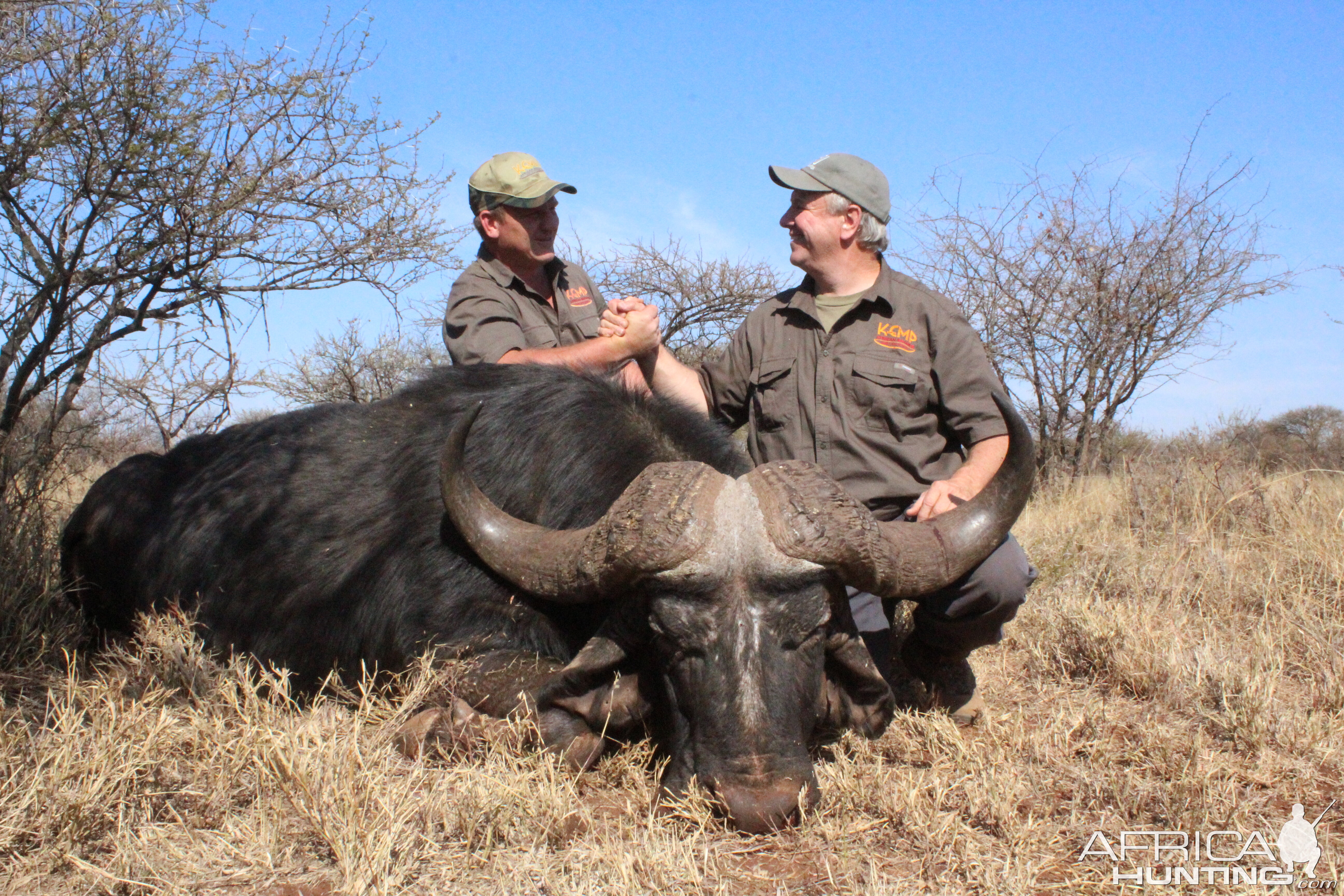 Cape Buffalo Hunting South Africa