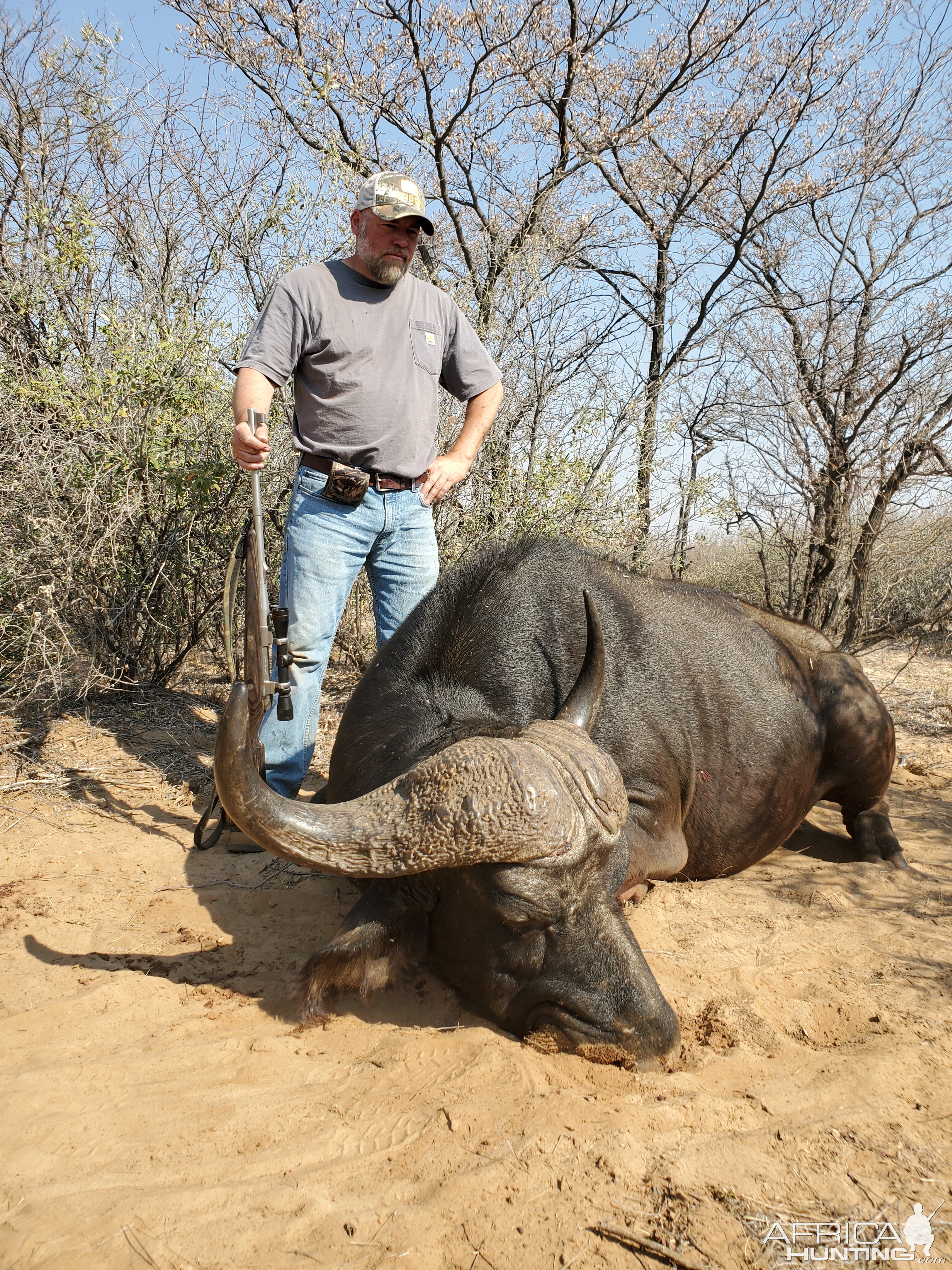 Cape Buffalo Hunting South Africa