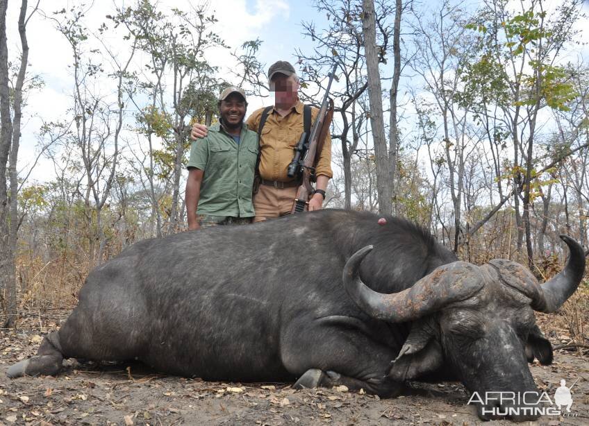 Cape Buffalo Hunting Tanzania