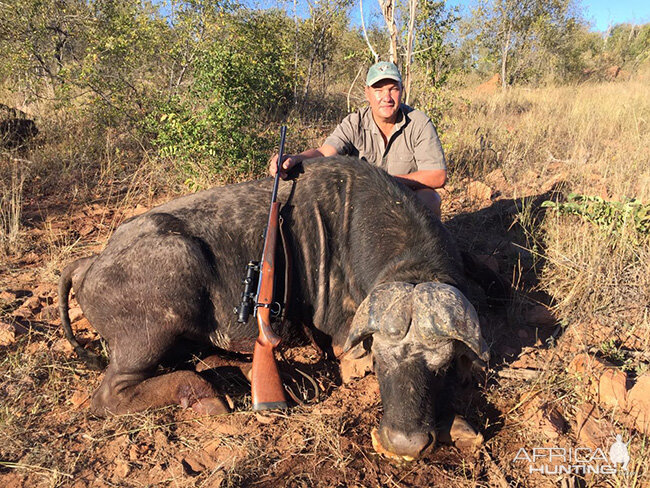 Cape Buffalo Hunting Zimbabwe