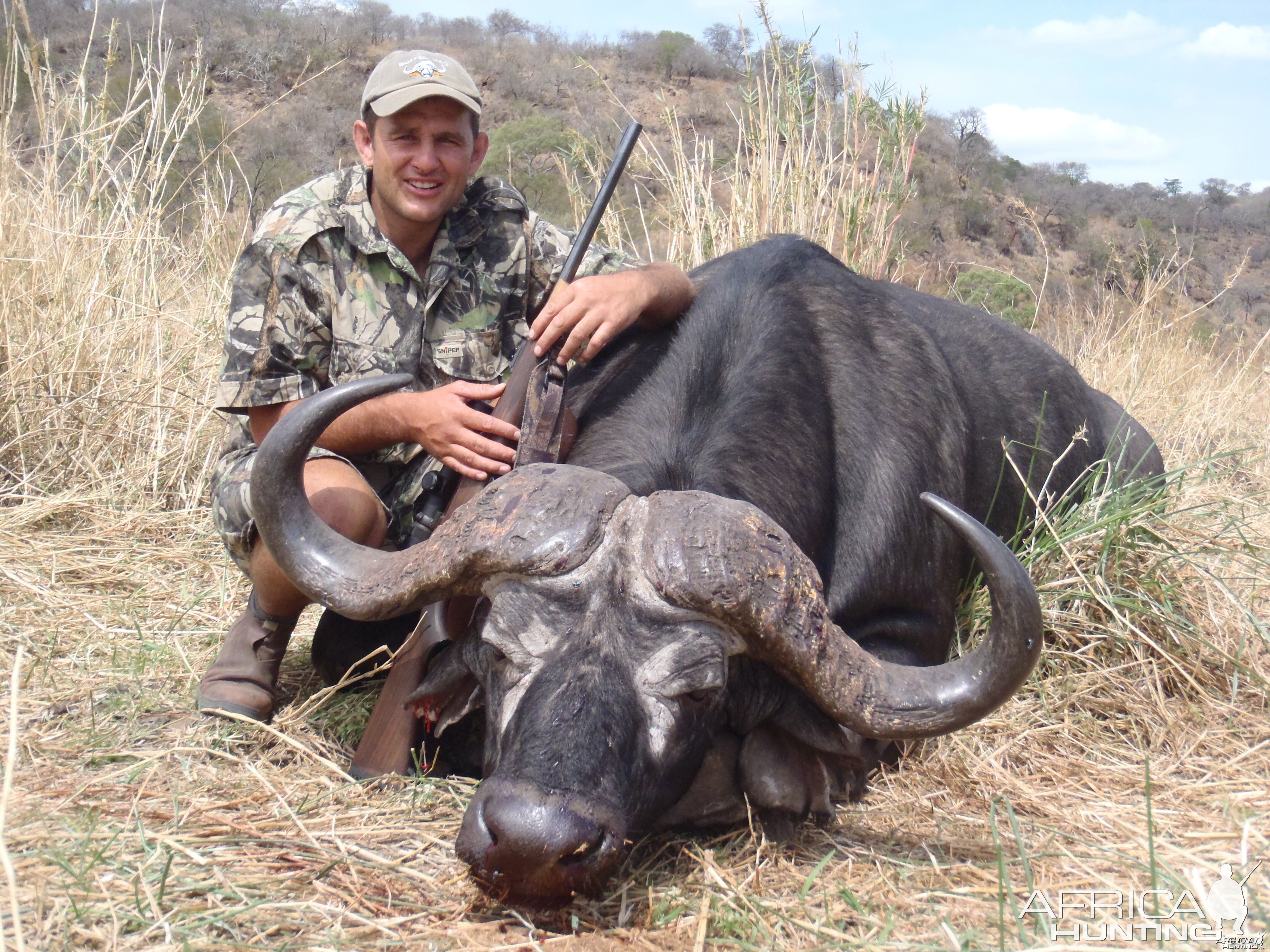 ~ Cape Buffalo - Lebombo Foothills, Mozambique ~