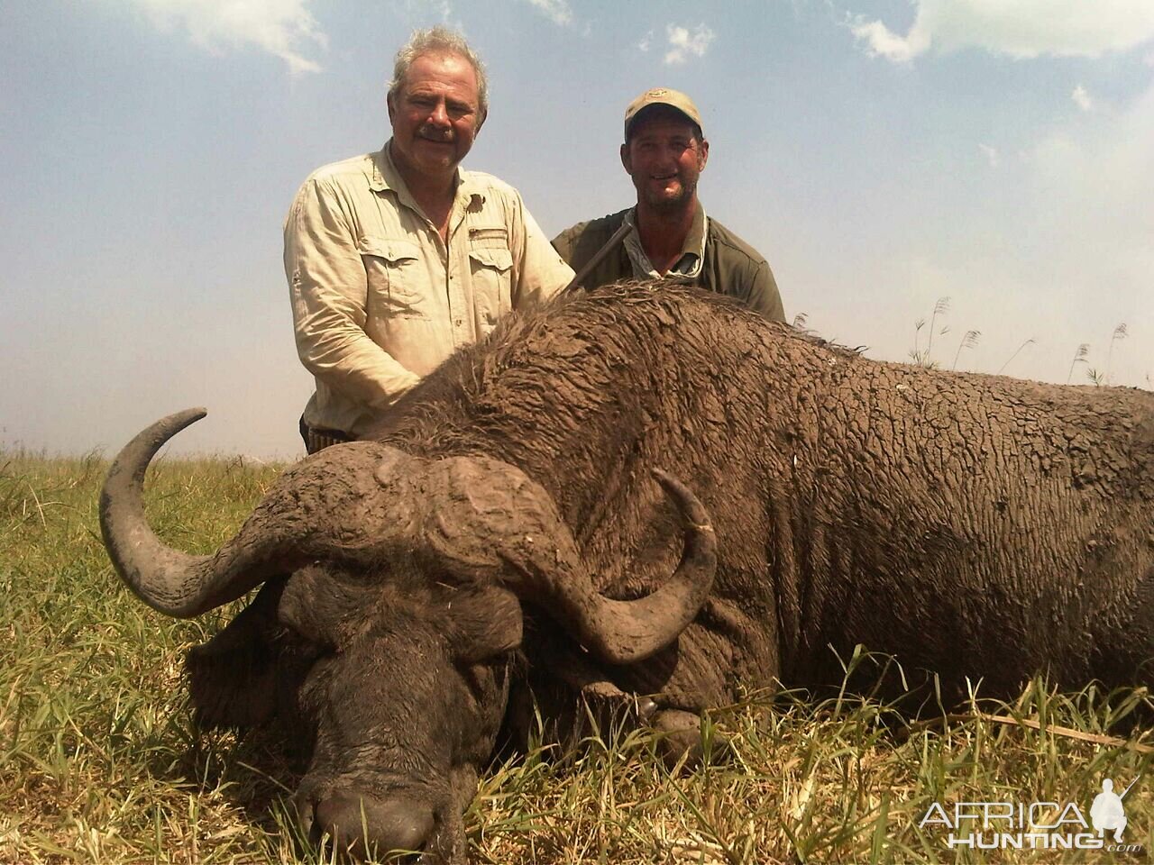 Cape Buffalo Mozambique Hunt