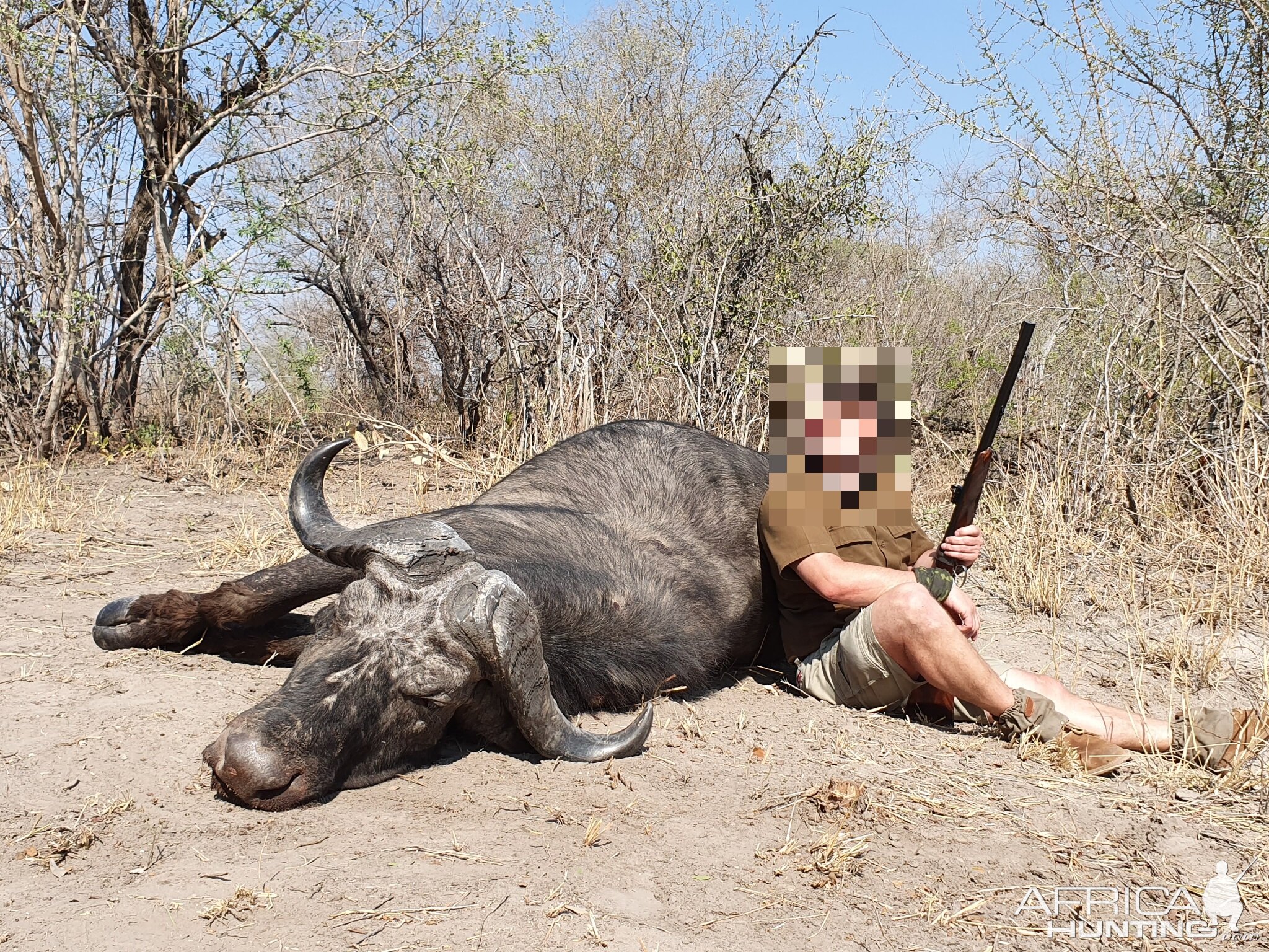 Cape Buffalo Non-exportable Hunt
