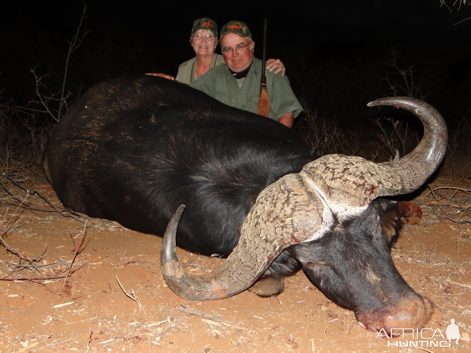 Cape Buffalo South Africa Hunting