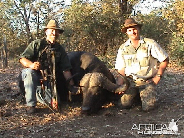 Cape Buffalo Zim taken with Warthog Safaris