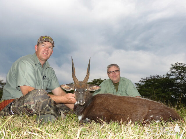 Cape Bushbuck Hunting Eastern Cape South Africa