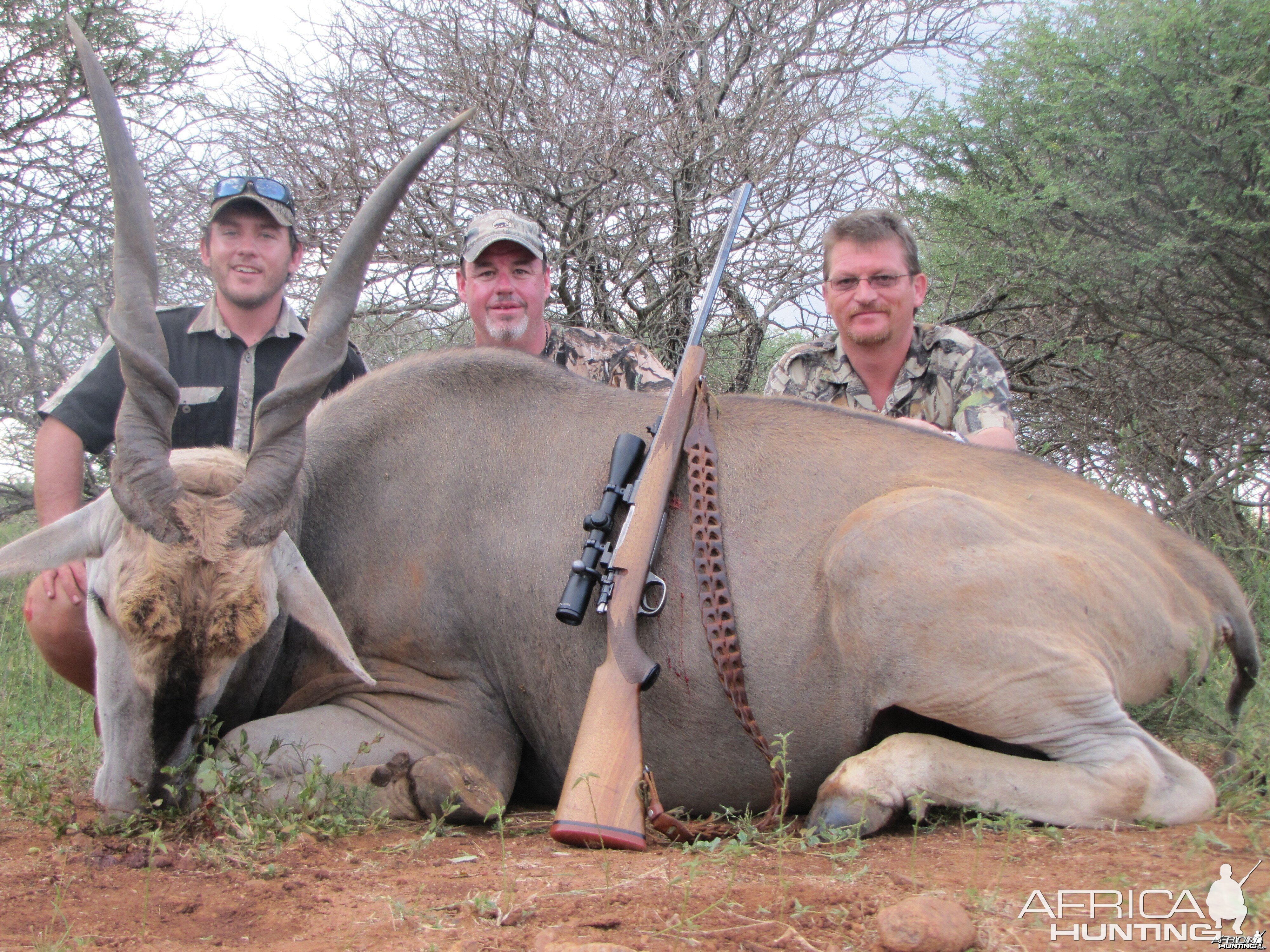 Cape Eland 24-03-2012