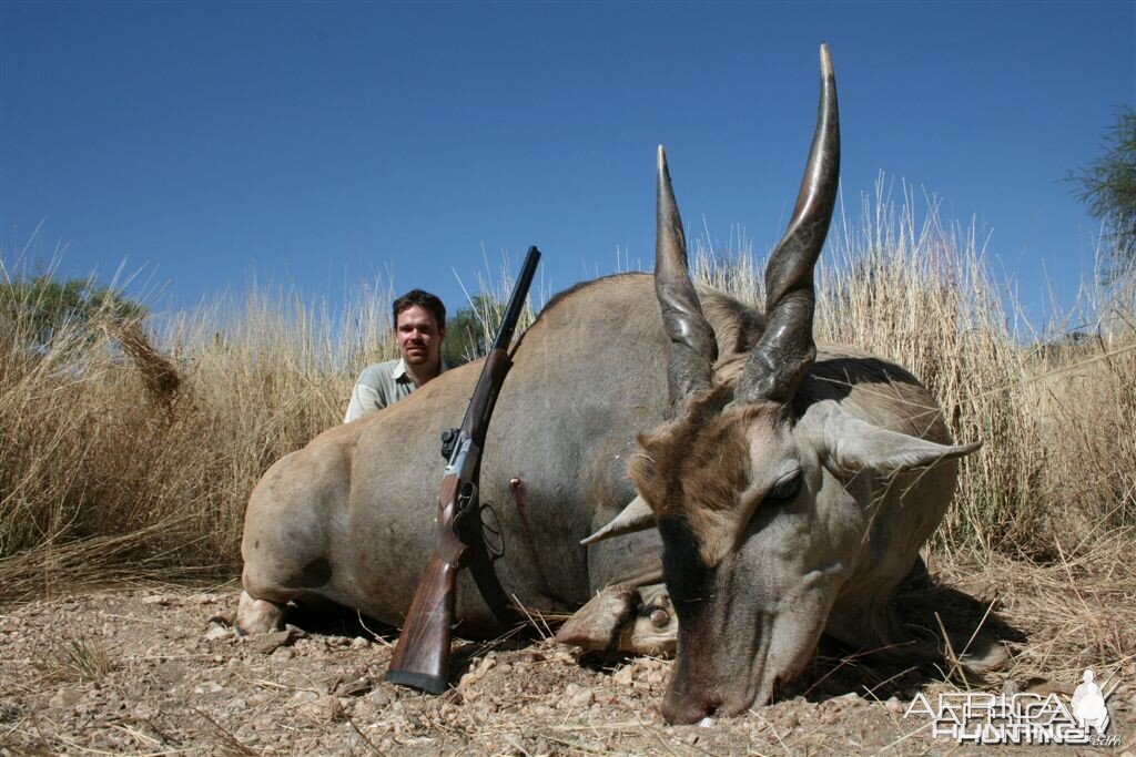 Cape Eland Namibia